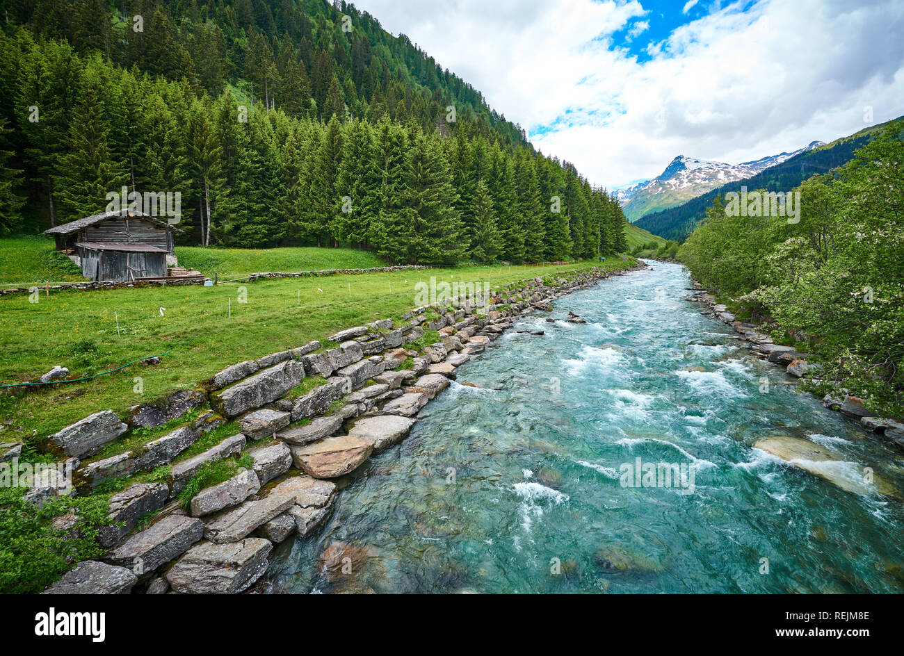 Strada lato SWI Alpi paesaggio con prato fiume e mucche nel cantone di Graubünden, Svizzera Foto Stock
