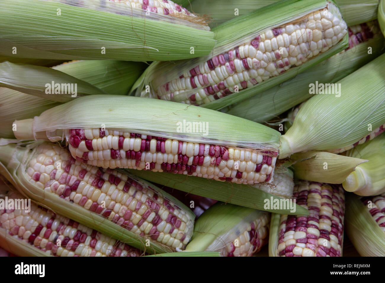 Cina Foto Stock