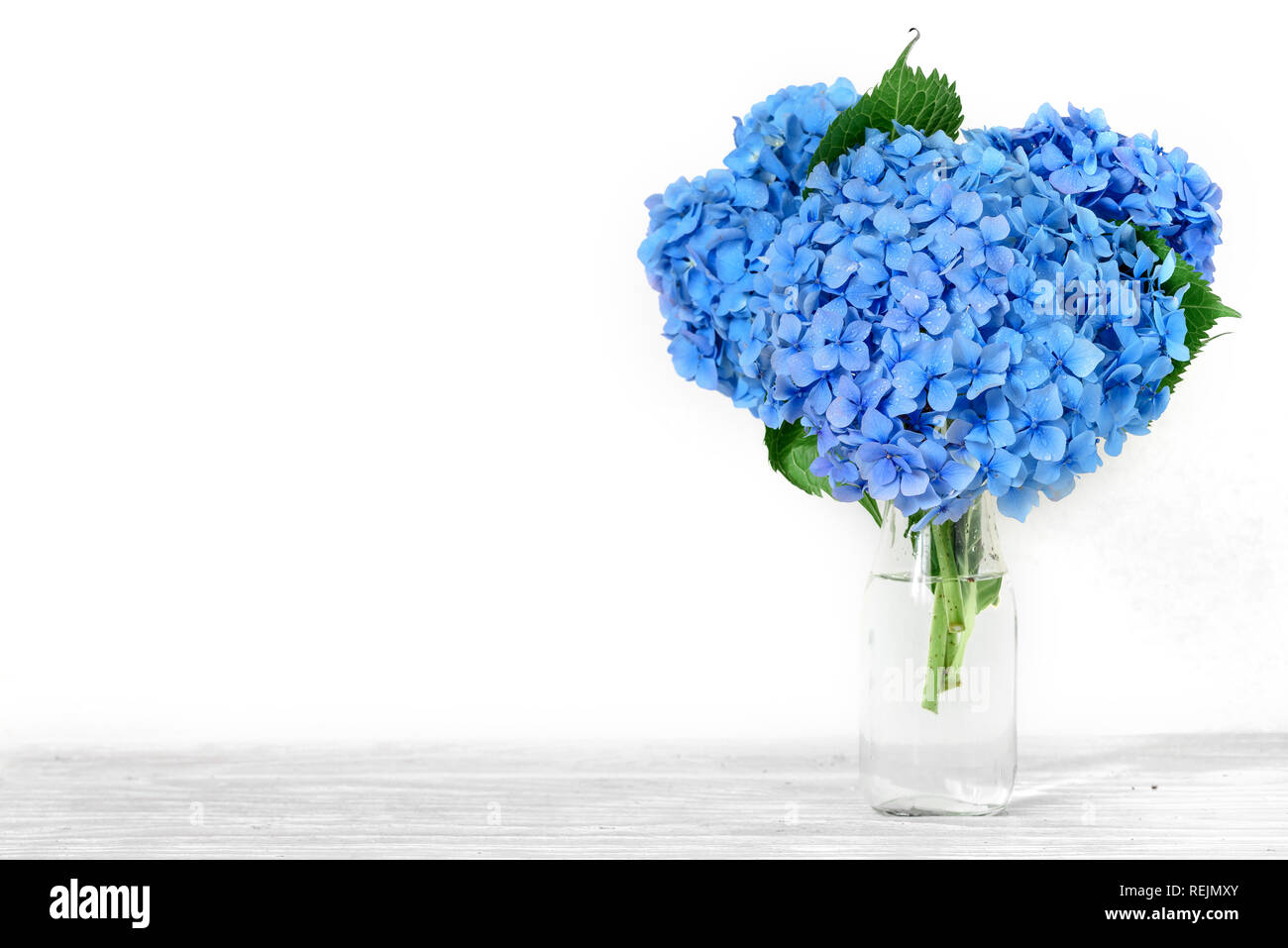 Ancora in vita con un bel bouquet di ortensie blu fiori. vacanza o sfondo di nozze con copia spazio. concetto Natura Foto Stock