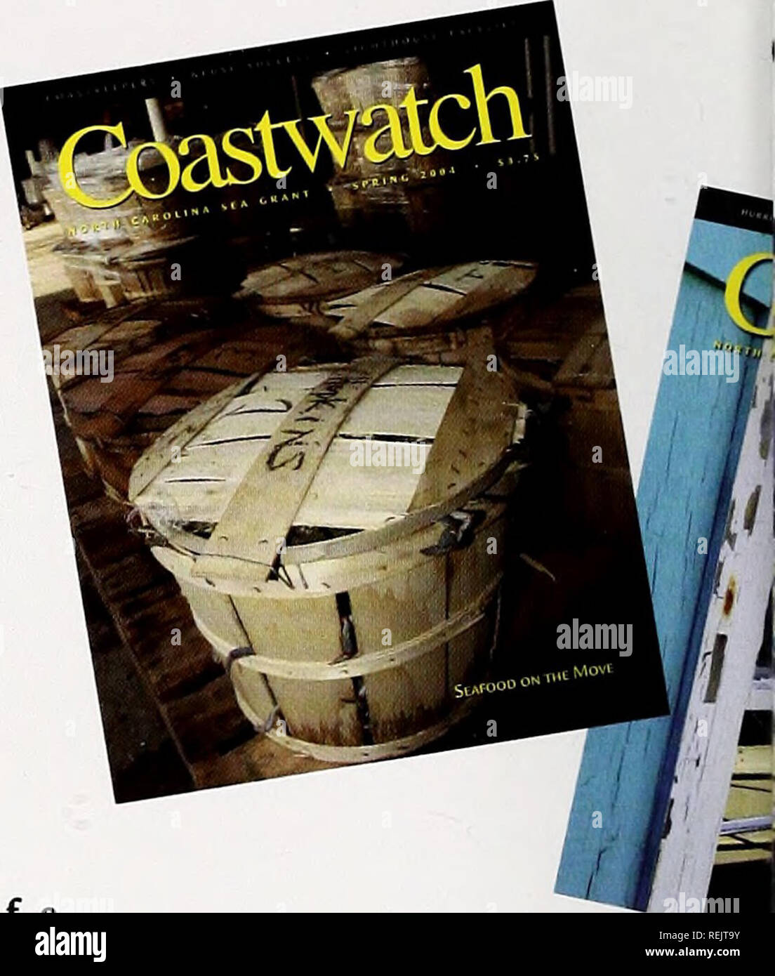 . Coast Watch. Risorse Marine; oceanografia; gestione delle zone costiere; ecologia costiera. La partecipazione del pubblico: gli abbonati rispondere al sondaggio Coastwatch da Hans Vogelsong e David Graefe. .Ublishing Coastwatch presenta una serie di sfide. "Il magazzino è stato progettato per aiutare a compiere North Carolina Sea Grant's outreach - La missione di rendere la scienza costiere accessibili al pubblico", Managing Editor Katie Mosher spiega. Nel considerare la storia argomenti per ogni problema, editori e wnters bisogno di sapere a chi legge il magazine e il modo in cui le informazioni fornite in Coastwatch può influenzare la conoscenza Foto Stock