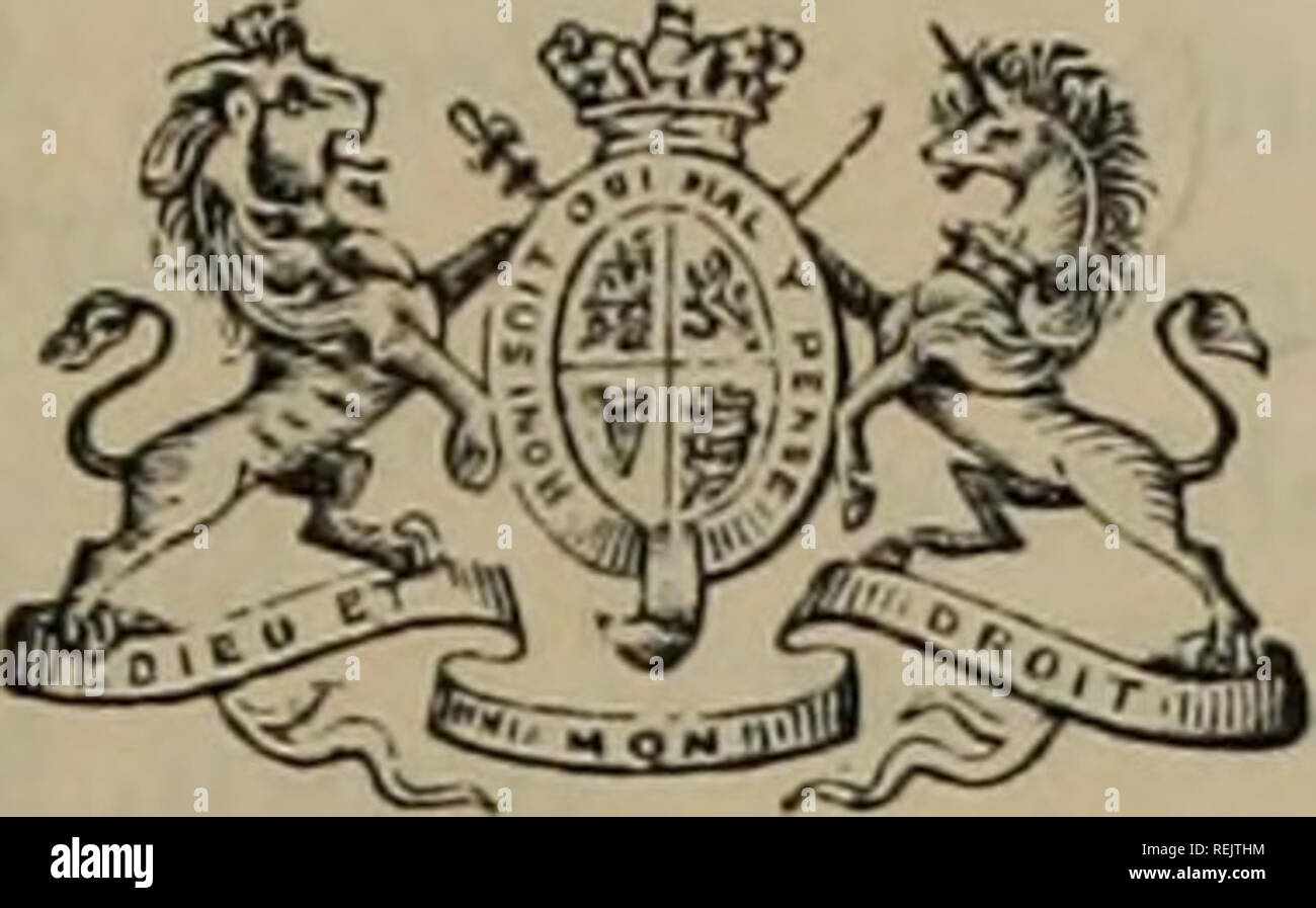 . Coates il libro genealogico. Gli abbonati.. Il suo più graziose maestà la regina, il Castello di Windsor. Ai-mstrong, Sir W. G., Bart., Cragside,Morpetli Aveling, Capt., Necdham House, Wisbeacli Abbott, Jobn, Esq., Ospringe Canonica, Pa- versham Ackers, B. San Giovanni, Esq., Prinknash Park, Painswick Adkins, George C, Esq., Il Lightwoods, vicino al Birmingham Adwick, il sig. Thos., Staythorpe, Newark Aitchison, P., Esq., West Garleton, Hadding- ton, N.B. Albert Istituzione, Glasneven, Co. Dublino Alexander, A. J., Esq., Woodburn, Kentucky Allan, il sig. Alex., Kiunon Park, Methven, Perthshire Allan, Giovanni, Esq., Billie, alimentazione di rete Foto Stock