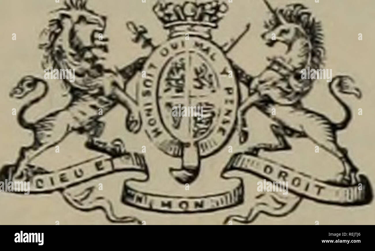 . Coates il libro genealogico. Gli abbonati.. Il suo più graziose maestà la regina, il Castello di Windsor. A. Aylesford, Rt. L'on., Conte di, Packington Hall, Coventrj' Aveling, Capt., Needham House, Wisbeacli Abate C. H., Esq., Long Ashton, Bristol Ackers, B. San Giovanni, Esq., Prinknasli Park, i dolori stoppino 1 Adkins, George C, Esq., Il Lightwoods, ' vicino al Birmingham j Adwick, il sig. Thos., Staythorpe, Newark Albert Istituzione, Glasneven, Co. Dublino Alexander, A. J., Esq., Woodburn, Kentucky Allan, il sig. Alex., Kinnou Park, Methven, Perthshire Allan, Giovanni, Esq., Billie Rete, Ayton, N.B. Allen, B. Haig, Esq., Clifford Foto Stock