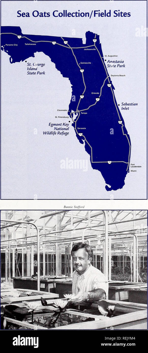 . Coast Watch. Risorse Marine; oceanografia; gestione delle zone costiere; ecologia costiera. e sapendo quali sono quelli che sono più adatti a crescere in determinati ambienti? Kane inizia nel campo. Lo scorso autunno ha raccolto 100 piante da ciascuno dei quattro siti sulla Florida's atlantico e le coste del Golfo: San Giorgio Island State Park in Florida's panhandle, Egmont Key National Wildlife Refuge sul Golfo del Messico nei pressi di San Pietroburgo, Sebastian ingresso sulla costa atlantica e Anastasia State Park, appena a sud di Jacksonville. I campioni vengono inoltre raccolte da Nord Caro- lina spiagge di confrontare il DNA di un dista Foto Stock