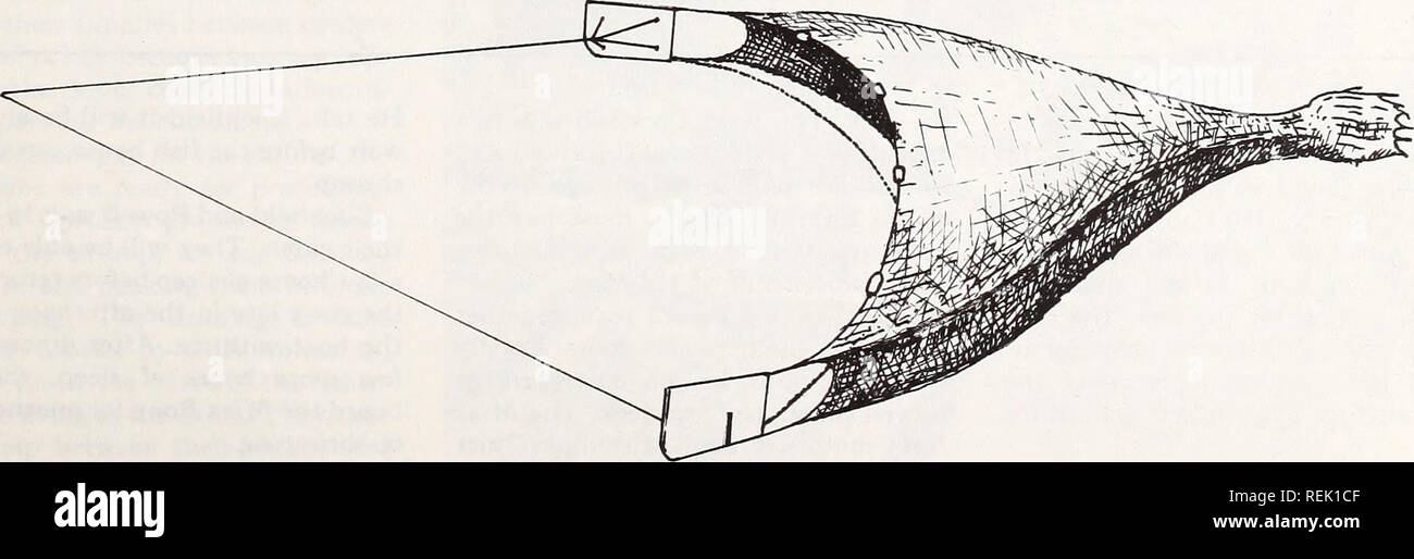 . Coast Watch. Risorse Marine; oceanografia; gestione delle zone costiere; ecologia costiera. net. Come superfici, Powell si cimenta a bordo. La prova della net è contenuto sono versato sul peschereccio per traino deck. Cockfield raccoglie attraverso le meduse, piccolo blu di granchi e pesci vari per estrarre 24 di buone dimensioni con gamberetti un equo num- ber per questa stagione. Powell oscilla il provare net di nuovo in acqua e spinge gli avanzi attraverso sinistra affondare, una apertura nel lato del peschereccio con reti da traino che permette all'acqua di defluire dal ponte. Tra montacarichi di cercare reti, Cockfield e Powell relax. Cockfield ascolta t Foto Stock