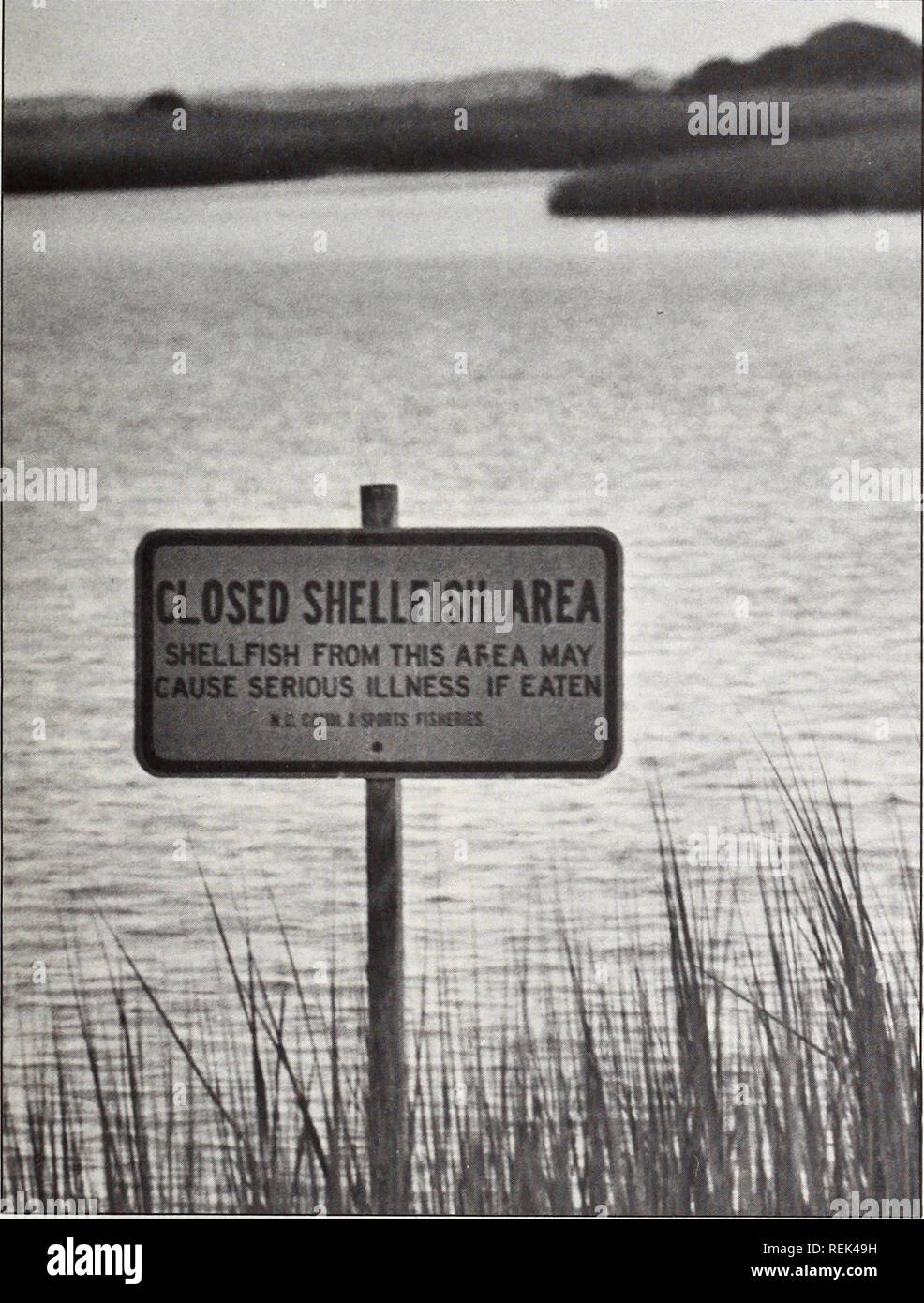 . Coast Watch. Risorse Marine; oceanografia; gestione delle zone costiere; ecologia costiera. Mare UNC Grant Università Programma Vol. 6, n. 4 Aprile 1979 fosse settiche - una lezione di progettare con la natura. La pioggia aveva smesso definitivamente. Come David Spencer camminato intorno il pud- dles nel suo cortile l'erba sotto i suoi piedi schiacciato come una spugna bagnata. Lungo la strada il suo vicino di proprietà sembrava lo stesso-acqua-registrato. "Tutto il paese qui intorno è argilla in esso," Spencer ha spiegato. Egli ha ricordato per il suo cortile, "si potrebbe scavare un buco lì e mettere l'acqua in esso e l'acqua sarà semplicemente seduti lì fino a che TH Foto Stock