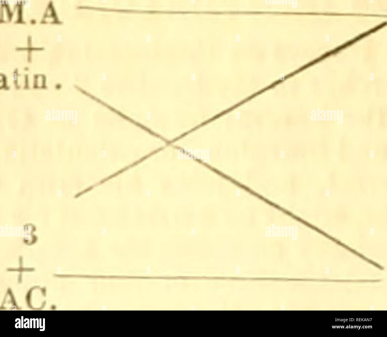 . Il civile ingegnere e architetto ufficiale, scientifico e dalla ferrovia gazette. Architettura; ingegneria civile; scienza. 124 Il civile ingegnere e architetto ufficiale. [Aprile, ferro da stiro. Se il circuito è chiuso e le rotture rapidamente, una successione di marchi o i punti saranno stampati sul ribband ; ma se chiuso per un periodo di tempo più lungo e quindi brckjn, i marchi sono più; in modo che gli spazi lunghi e brevi spazi, punti, a corto e lungo linee, sono formati a piacere. Una disposizione di questi marchi costituisce l'alfabeto telegrafico. Lunedì, IMarch 9. John Adie, Esq., F.R.S.E., V.P., in Cattedra. La seguente Foto Stock