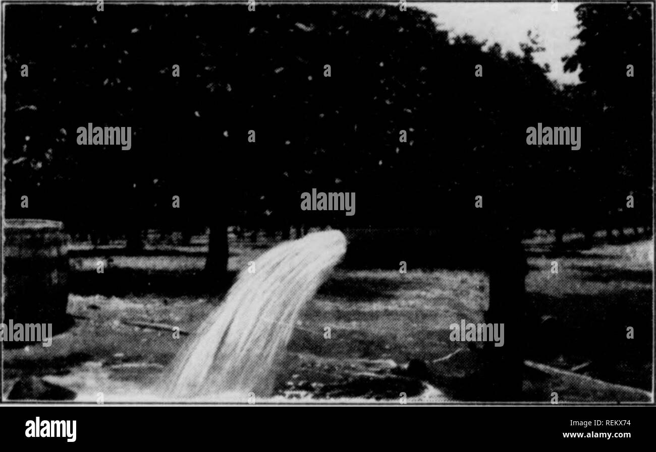 . Cirtus frutti sotto irragation. Agrumi; frutta-cultura. r^TT'OTTC V^X X XV V-' .J â POTTT"A X XV v^ X X WJ costantemente in lotta contro i parassiti che possono essere controllati. In California e Arizona la fumigazione degli alberi con idro- cyanic-gas acido contiene la maggior parte dei seri pesti di insetto nel controllare, ma nel golfo costa di membri la spruzzatura sembra essere il modo più pratico per la lotta contro di esse. Entrambi gli insetticidi e fungicidi sono necessari lavori di spruzzatura. Molti coltivatori di acquistare i materiali e mescolare i propri spray; altri proprietari di usare insetticidi e fungicidi. In aggiunta agli insetticidi e Foto Stock