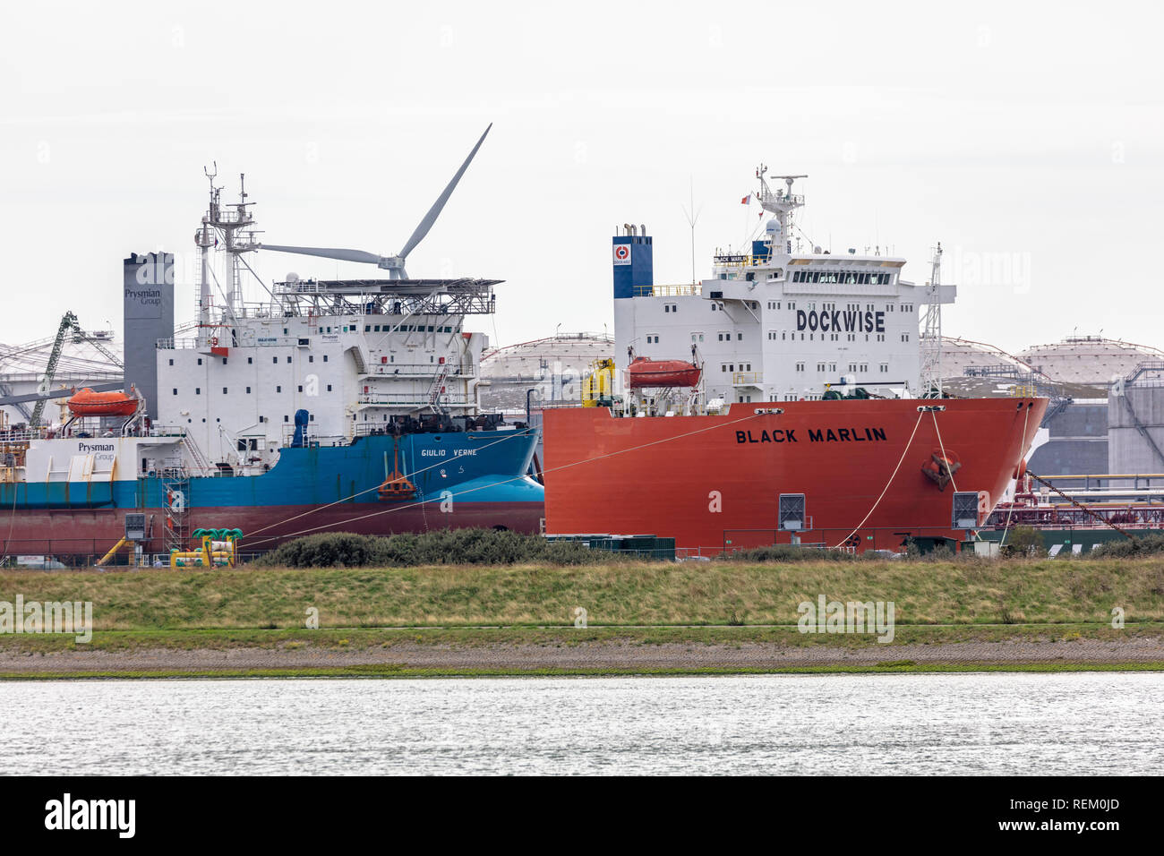 I Paesi Bassi, Rotterdam, porto di Rotterdam, Porto. Dockwise (ora parte di Boskalis), il leader mondiale di mercato in pesanti trasporti marittimi. Foto Stock