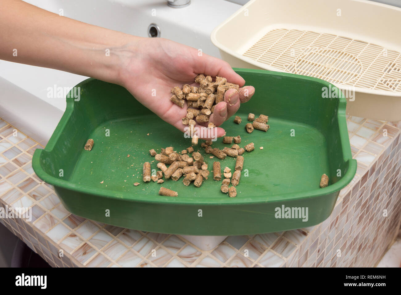 Il proprietario cambia il riempimento legno in un gatto o un cane il vassoio Foto Stock