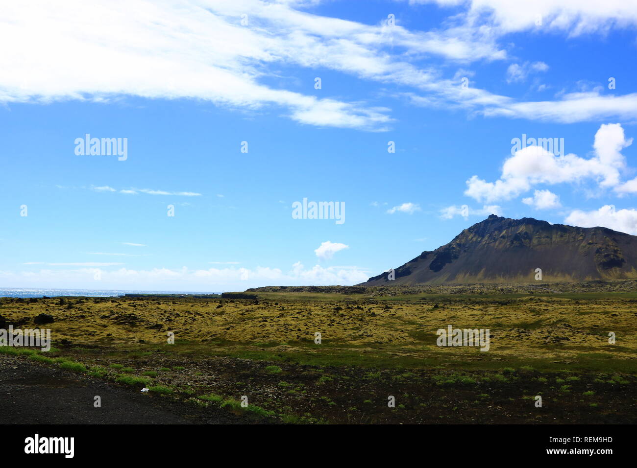 Lavafelder mit Moos in isola Foto Stock