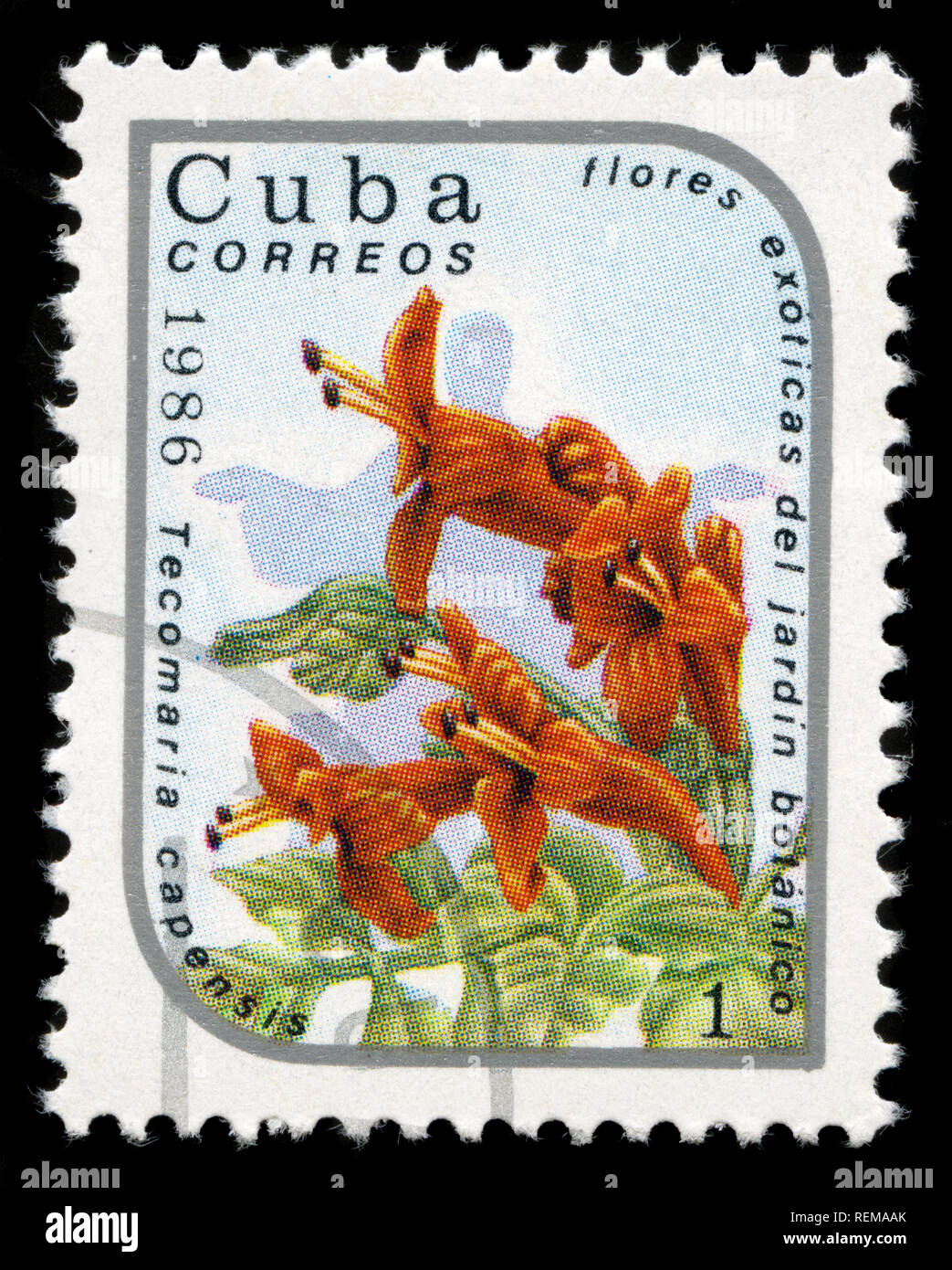 Francobollo da Cuba in fiori esotici serie emessi nel 1986 Foto Stock