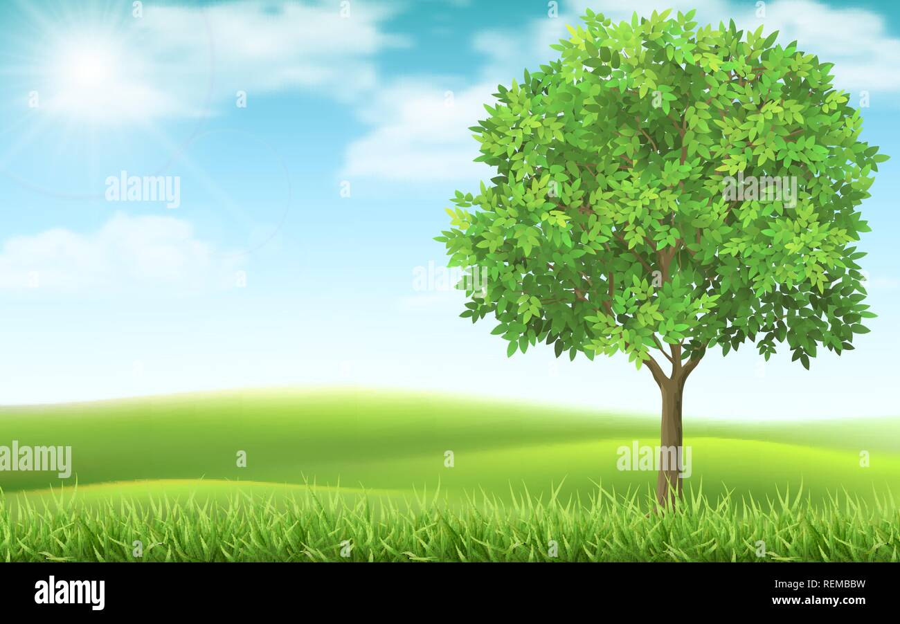Tree sul paese di primavera sullo sfondo del paesaggio. Prato verde e azzurro del cielo. Paesaggio naturale con una tranquilla e bellissima scena. Illustrazione Vettoriale