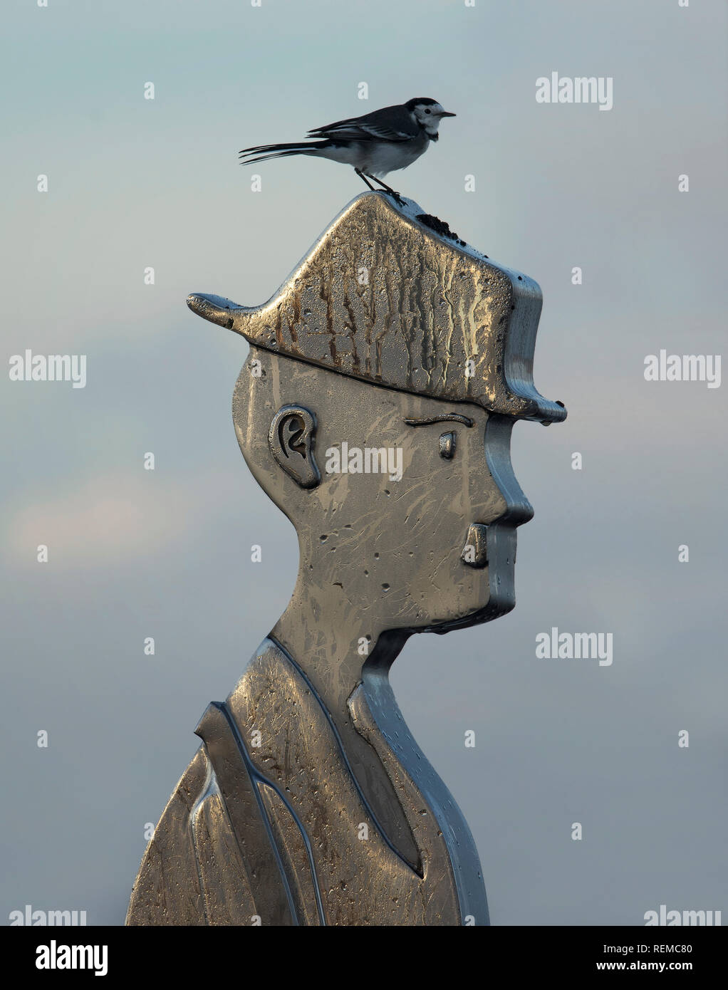 Pied Wagtail sulla statua di LS Lowry, Knott fine sul mare, Lancashire, Regno Unito Foto Stock