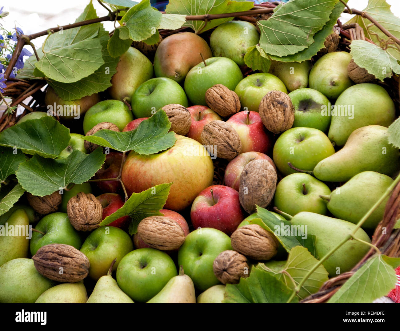 Noci; le mele e le pere; Foto Stock
