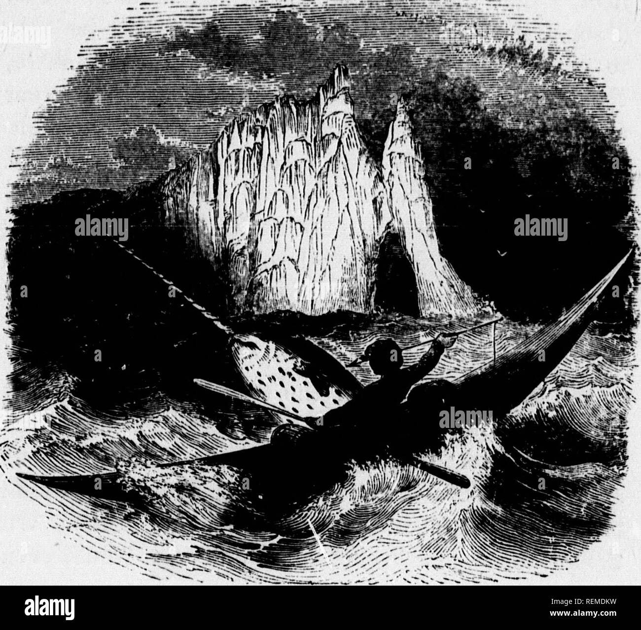 . L'oceano [microformati]. Biologia marina; animali marini; piante marine; Biologie; marino marini faune e flore marine. I mari artici. 149. Infilzare il Narwhai,. kernel di un dado. Di solito è il dente di sinistra che i progetti. Una notevole incertezza circa l'uso di questa lunga e di spirale brosmio. Alcuni hanno sup- poste che è utilizzato per la ricerca di cibo, rastrellando nel fango in corrispondenza del fondo o per perforare il ghiaccio sottile alla superficie per ottenere accesso all'aria; ma il Sig. Scoresby sembra avere buttare^n notevole luce su di esso, avendo incontrato con un individuo in w^il tubo flessibile dello stomaco, tra i resti del Foto Stock