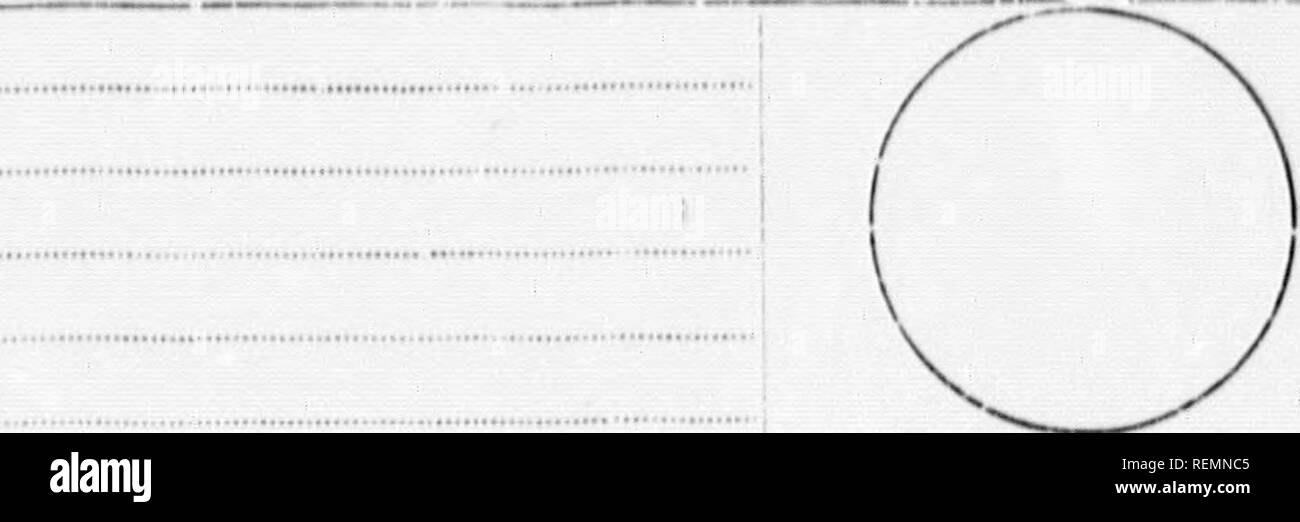 . Alta Scuola di botanica note book [microformati]. La botanica; Botanique. Fiore di pianificazioni. Fr,OWEK (iK OIIUAN. No, INrliinlli. /,(II rii, t'liriillii. I'tliiU. HI nove 111. FitnuK'tils. Anthtn. I "IIKNIIIN. AlHIKHIIIN. NuTKHfiN KonÂ"i, .*&GT;rivAri(A, Comhh, kw. rioiii. ancora Ilia:!, S/I/lea, j i'ai'jch, Ouiry-ceUn, | f C-kite. : Kiiâ| Viii'ifty io no, (se si'dN io li'^('ii|itii.ii (pf SiM'i'i. I't.C'llIA. DlAdllAM. (MKIAN. Ti n. Fl.llWT.Ho! dX- l'( IlKSlllN. ile&GT;IIK&lt;l|(lN. NiiiKsiiN KmiM, .Estivation, Cowvu. CTC. CN'rliiiitii. Ijiit I'rs. Inlyx. Sepah. I'orollii. I'ltah. Miiiiiriiii. FUamenla. Foto Stock