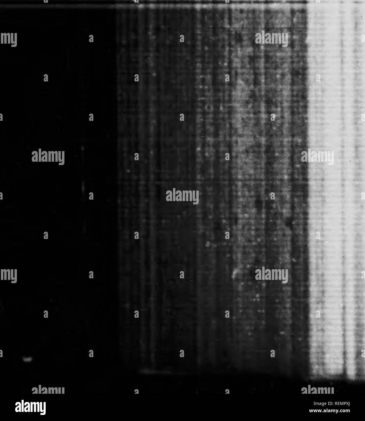 . Secchi e frutta confezionati [microformati]. Frutta; frutta secca; frutta; frutti s. 1(1 HULLKTIN n. 269 -. &Amp; natura . j^-.,,,^^ .j,,,, v);),^,, Sain|ile. , =â ¢ |X:iini" e Adilivsa di manu- costo. Ho factiirer i ir Ki'rii inticr. ' Come ^irÂ" *inclinazione y' Fornitore. iM;*inifaftnrfi".I Kiiini.-.lHT. Nel"|iectrt (Ih non un fXpreHÂ"ione del parere. Io li DISTKII'T UK THKKK RIVKRS- ho l!tl3. j Jnne :!0 M 211 Riiiains .J .5,S!i;7 C. liarr.lte,.IolTettp'3 llis. i ^ ! .Iipi.&GT;...!!! :Mx â â ¢ ..::&LT; .. Io ho'nin...... .Â ¢.8!ll!l .. ..", Ho Vaniachiche. ;Iii Kips ... ! 5SM3."i UaiU" (Io ho ^ n Â"â r r Foto Stock