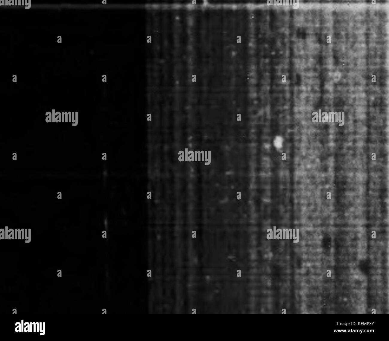 . Secchi e frutta confezionati [microformati]. Frutta; frutta secca; frutta; frutti s. Bollettino n. 269â. 5 ' X- ^S ^aturf J : di â 3 ; campione. "Io ho ^ I A I a I I l^anie e Addrtrisn Nfunu di costo. Ho Mcturer o Kuriiinher ! AH fornita dal venditore. ^ Nome e AddresH 1 del fornitore. &Gt;â ¢ ^fanâ¢)facturfr. Curili iaher. Â¢s s K d 'A ^ 6 InHpector"ii relazione. (La non un espressione del parere.) DISTRETTO DI QUEBEC- 1913. Ho 1 j : io ! Io ho - ho 1 Giugno 17 Uve secche di Corinto .37060 Alfred .Iarcotte, 31)ox .% I'atrasPyrglo8|B e il a r d un Charlebourg. , ! Amalico 41 Krere i ' ; CalamataK, io (ireece. "HaiÂ"III".". Foto Stock