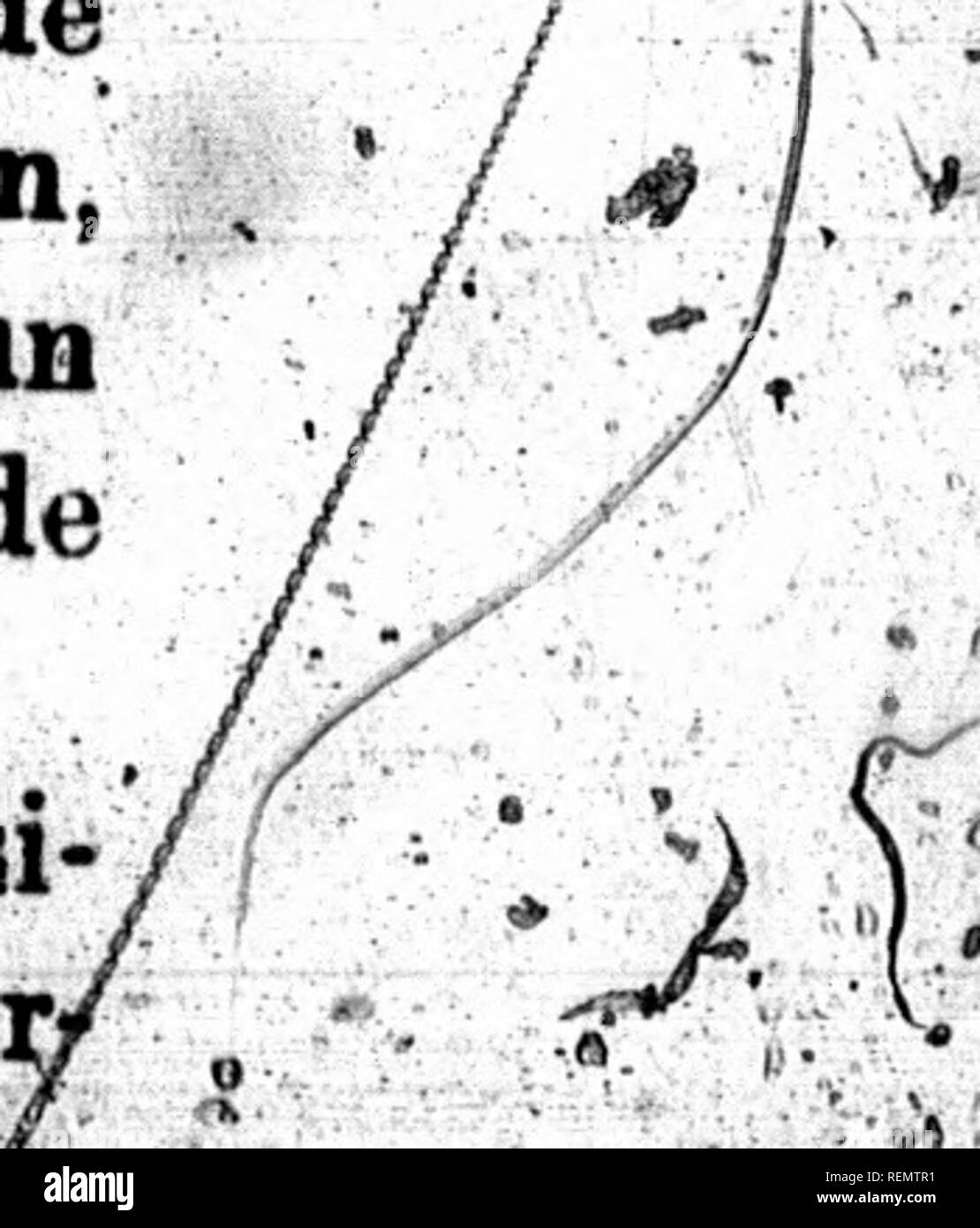 Vf 41 Immagini E Fotos Stock Alamy