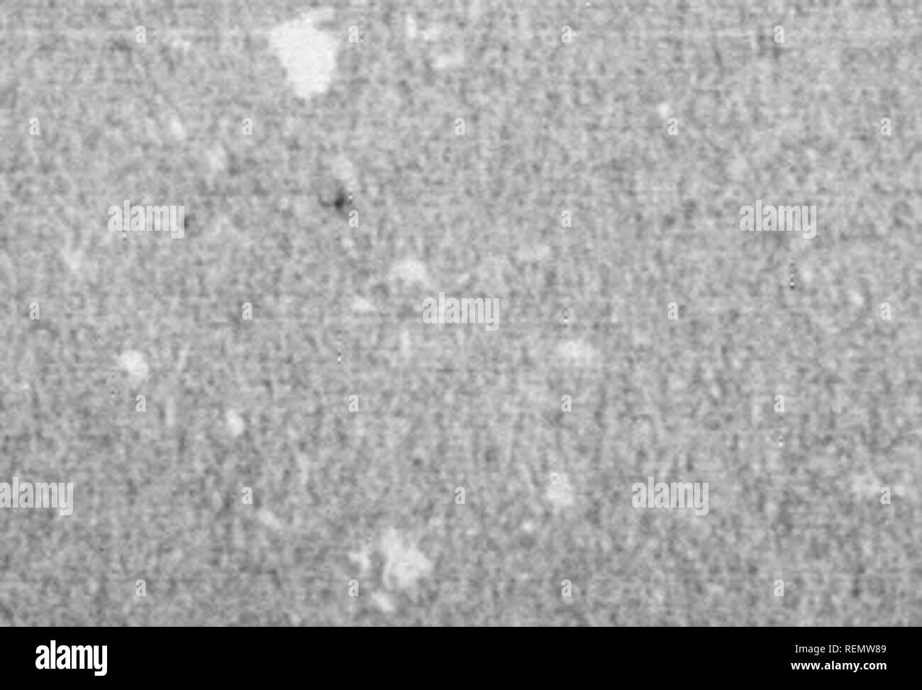 . Osservazioni parenti esercizi aux sur le tableau sous dictÃ©e, et au dessin des figure sur le cahier [microforme]. GÃ©ologie; Botanique; Zoologie; Geometria; botanica e zoologia. Nozioni DE BOTANIQUE. 59 BOcarpe^iVmd^carpe. Ces trois parti sont extrÃª- mement variabili. i&GT;.âQu'est-ce que PÍ©picarpe ? V^lZZ':^^^^^^^""^^'^"^^ du pí©ricarpe su i appelle vulgairement j)m?t. -D.âQu'est-ce que le mÃ©socarpe ? 1 busta extÃ©rieure ou peau, et Tenveloppe intÃ©- rieure qui renferme la graine. "^^^Â"PP^ mt^ -D.âQu'est-ce que l'endocarpe ? I2.-C'est la partie intÃ©rieu Foto Stock