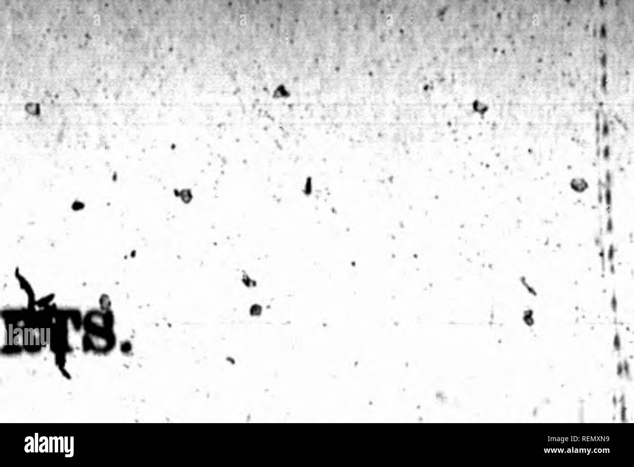 . Il diritto di Montreal relazioni [microformati]. Rapporti di diritto, digerisce, etc; diritto, giurisprudenza, Droit. r -*, ^. 44 MOKtE^AL DIRITTO BBPO V 1890.. Â Â Â Â ; 1 Vl 't I": : : â â â ''. ':-.*:. [Io : â 1 1 1 â â -." â 1 â ' iblan AMidtnt Im. Otmt'i, 4M deolaration di Bartnenliip datata^ XIV e registri -^ xx aprile, 1886. Questo" non impediscono né 6E " loro h^viKg rapporti di partenariato non registrato. Da &amp;una dicitura sulla politica-sembra che, pn ' il 28rd settembre, |8S6, l'assicurazione contro gli infortuni Gbm* pany ware ha notificato che Thomas Brophy aveva cessato di essere.. un partner o me Foto Stock