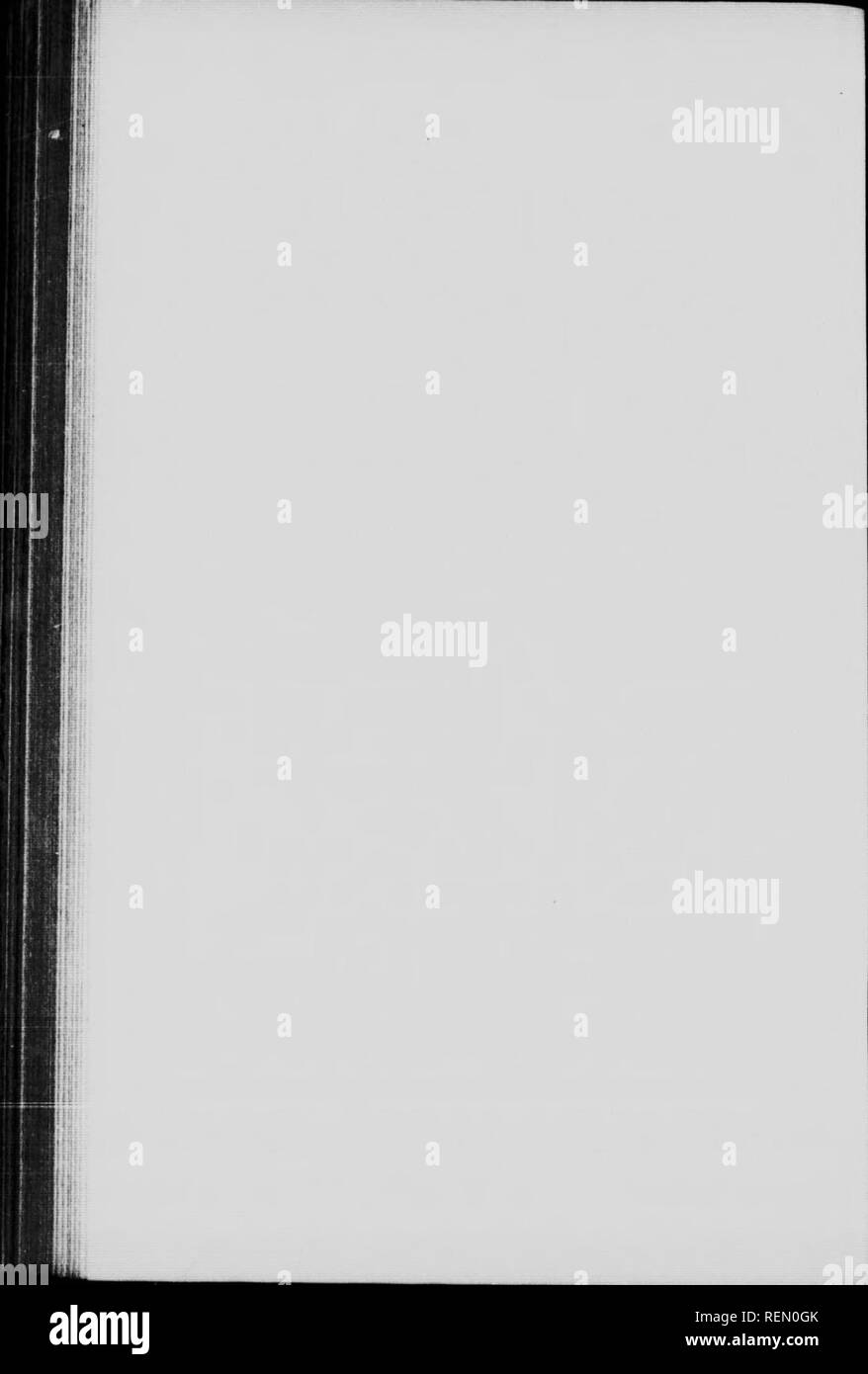 . La natura attraverso il microscopio &AMP; videocamera [microformati]. Storia naturale; La fotomicrografia; Sciences Naturelles; Photomicrographie. . Si prega di notare che queste immagini vengono estratte dalla pagina sottoposta a scansione di immagini che possono essere state migliorate digitalmente per la leggibilità - Colorazione e aspetto di queste illustrazioni potrebbero non perfettamente assomigliano al lavoro originale. Kerr, Richard, d. 1915. Toronto : Musson Foto Stock