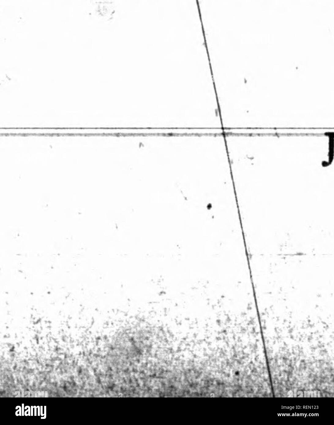 . Vita nel deserto. Biologia del deserto. , I 1 (come modificato da By-Law n. 458.) per designare Kenneth W. MCKAY, 0^ LA CITTÀ DI ST. THOMAS, PER L'UFFICIO DI CANCELLERIA DEL COUNIT DI ELGIN. k' ^ Passati i5a dicembre, 1882. Considerando che l'ufficio del cancelliere della contea di Elgin è ora vi^cant, e , considerando che sotto l'autorità della sezione numero due cento trenta sette delle istituzioni comunali atto, ogni ttouAcil requijied è la nomina di un addetto. '^ / essere pertanto emanato dalla corporazione municipale della contea di Elgin in Courtcil assemblati, e sotto l'autorità suddetta, che Kenneth W. McKay, di Foto Stock