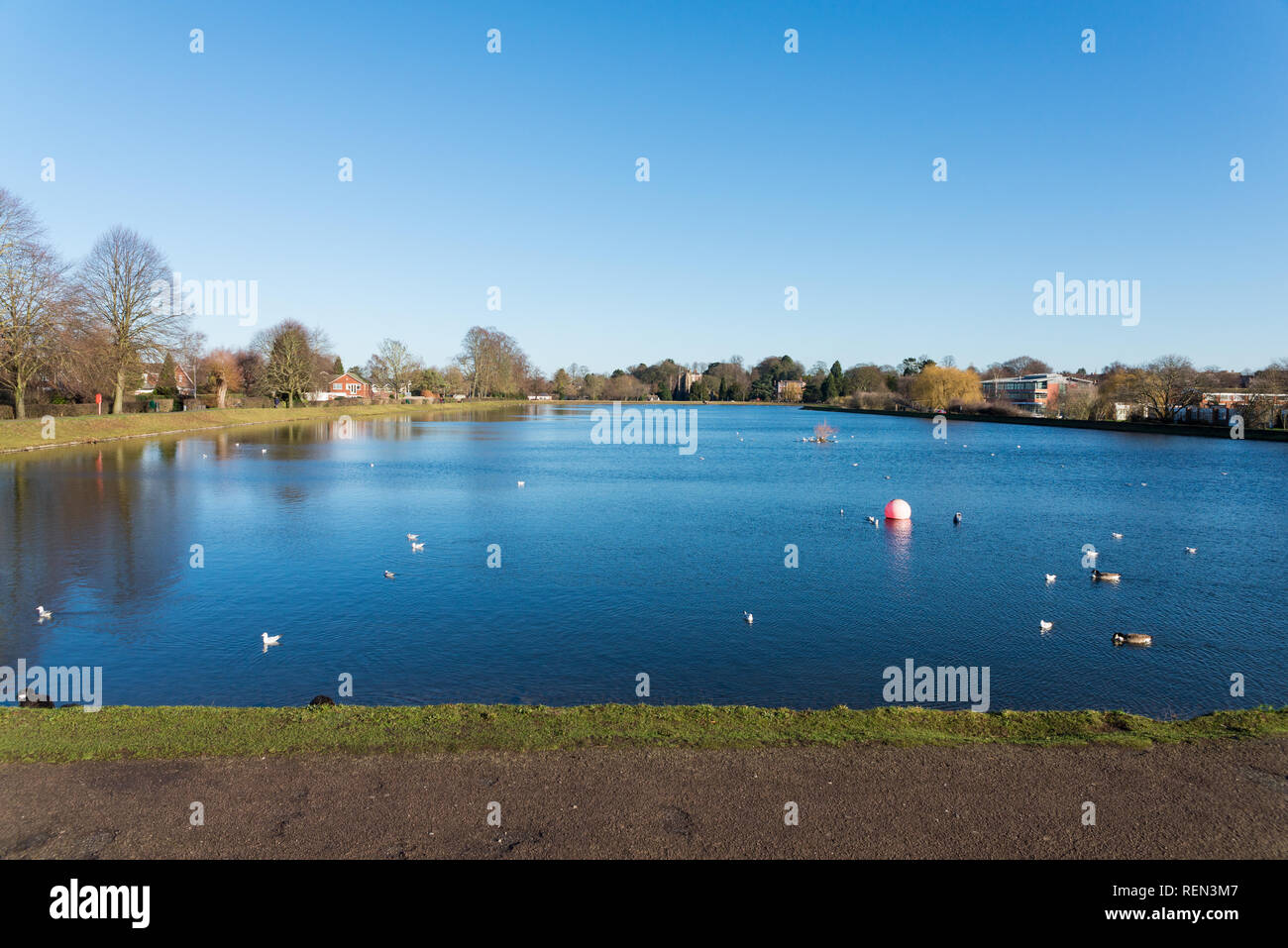 Stowe piscina, un uomo fatto pool in Staffordshire città di Lichfield Foto Stock