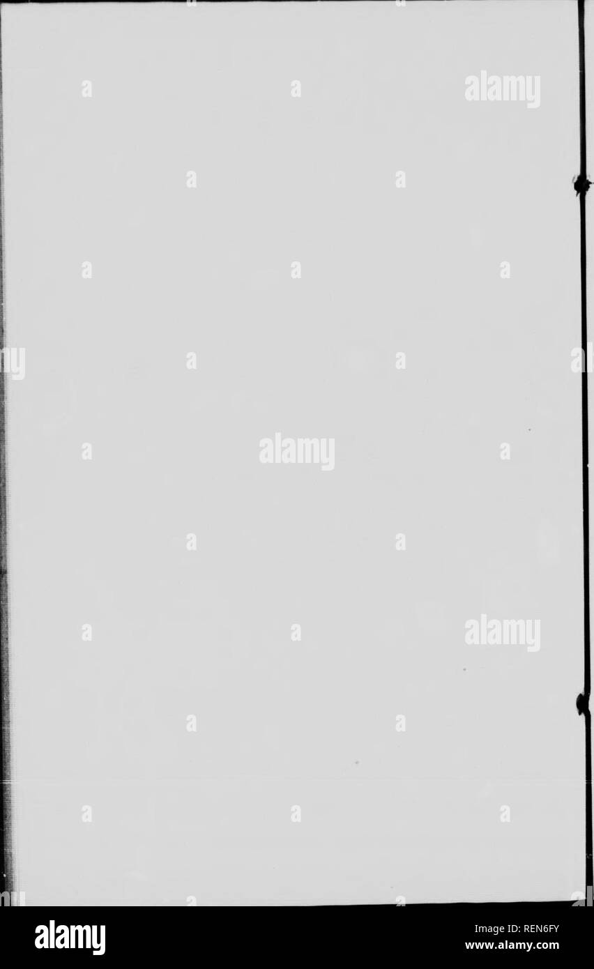 . La piantumazione di alberi sulle praterie di Manitoba, Saskatchewan e Alberta [microformati]. Forêts; Arbres; le foreste e la silvicoltura; la piantumazione di alberi. . Si prega di notare che queste immagini vengono estratte dalla pagina sottoposta a scansione di immagini che possono essere state migliorate digitalmente per la leggibilità - Colorazione e aspetto di queste illustrazioni potrebbero non perfettamente assomigliano al lavoro originale. Ross, N. M. (Norman MacKenzie), b. 1876; Canada. Ramo di selvicoltura. Ottawa : Govt. Stampa. Ufficio di presidenza Foto Stock