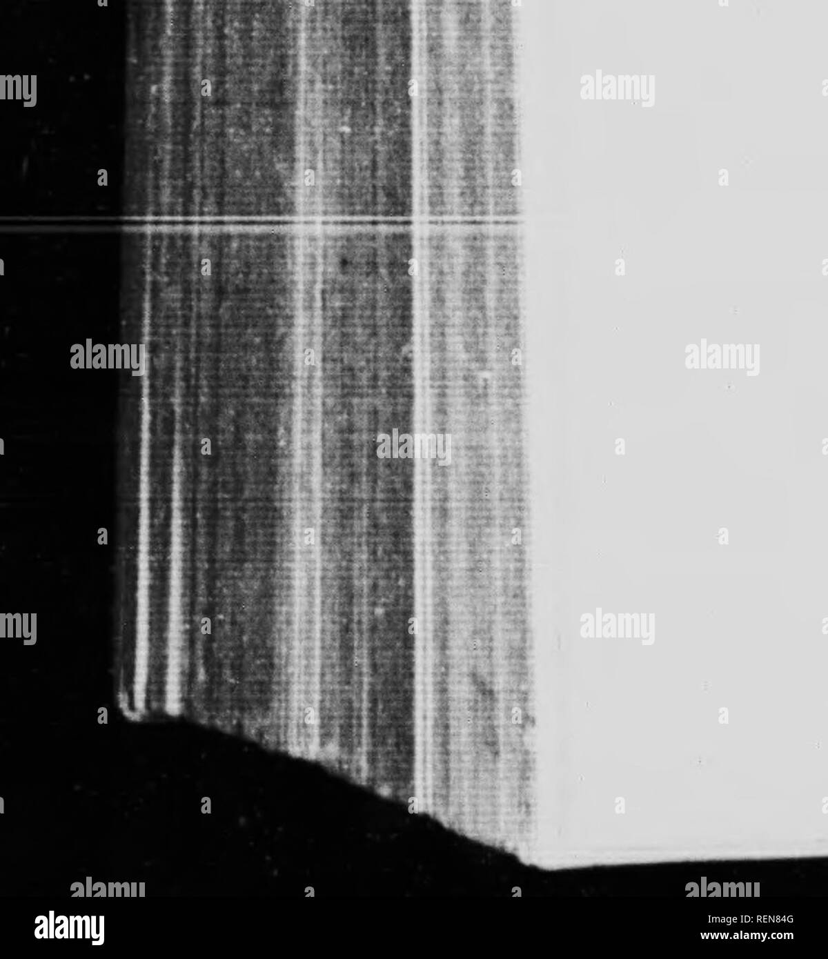 . Il coleottero di sacro e altri [microformati]. Coleotteri; Coléoptères. Il coleottero di sacro e altre disposizioni necessarie; che non sono mai venuti fuori per fare un tuffo nel rifornito stock e consentano loro di aumentare il sempre limitato numero di ovoidi giacente sul fondo della pentola sotto la vigile della madre cura. Questa limitazione della famiglia potrebbe benissimo essere dovuto in parte alla mancanza di spazio. Tre o quattro pillole riempire completamente il burrow; non vi è spazio per ulteriori; e la madre, un soggiorno- at-home prodotti simili dal dazio doganale e di inclinazione, non sogna di scavare un altro^ dwellmg. È vero che la maggiore brea Foto Stock