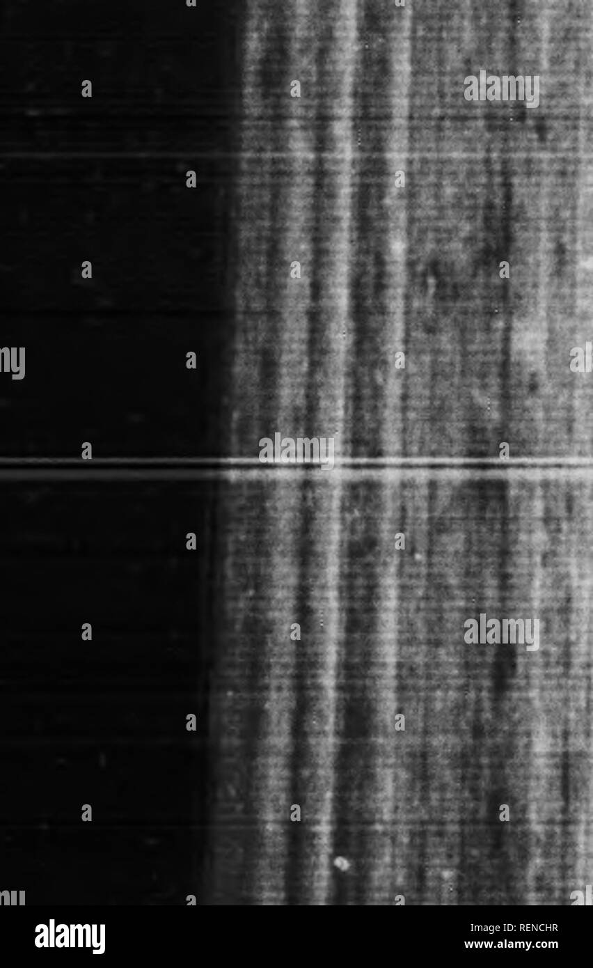 . Gli animali selvatici e la fotocamera [microformati]. Zoologia; Animaux; Zoologie; Animali. 1"^' . [Ih-ib^. "7^ INDEX Incoronazione raccolta, 83 Corvus corax, 145 Gru, Demoiselle, 147 Gru, Numidian, 147 Cynocephalus neumanni, 1x9 Darwin, Charles, 162 Dasyure, Il, 93 Dasyurus viverrinus, 93 " De Spectaculis libello," 63 Derby, Signore, 140 sviluppando sotto - piastre esposte, 93 Diamond Python di Australia 165 Dickens, Charles, 146 1 Dixon, Guardiano, 45 Domiziano, 62 DuChaillu, Hj Edward VII della incoronazione, 100 'jypt, Pasha, 80 Cerastes egiziano, 168 Elatfc Hornbill, 150 El Foto Stock