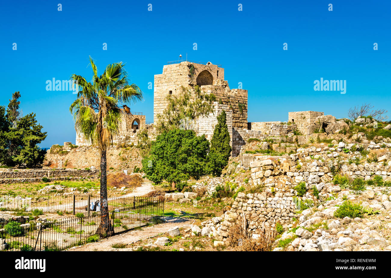 Castello dei Crociati a Byblos, Libano Foto Stock