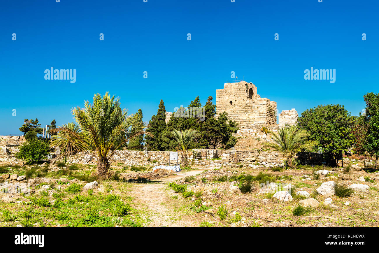 Castello dei Crociati a Byblos, Libano Foto Stock