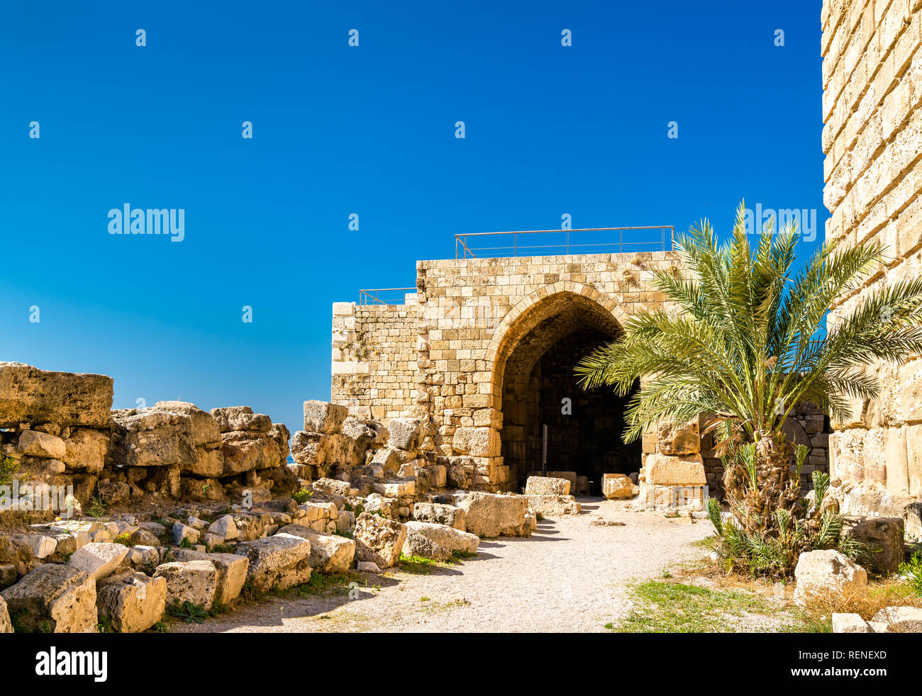 Castello dei Crociati a Byblos, Libano Foto Stock
