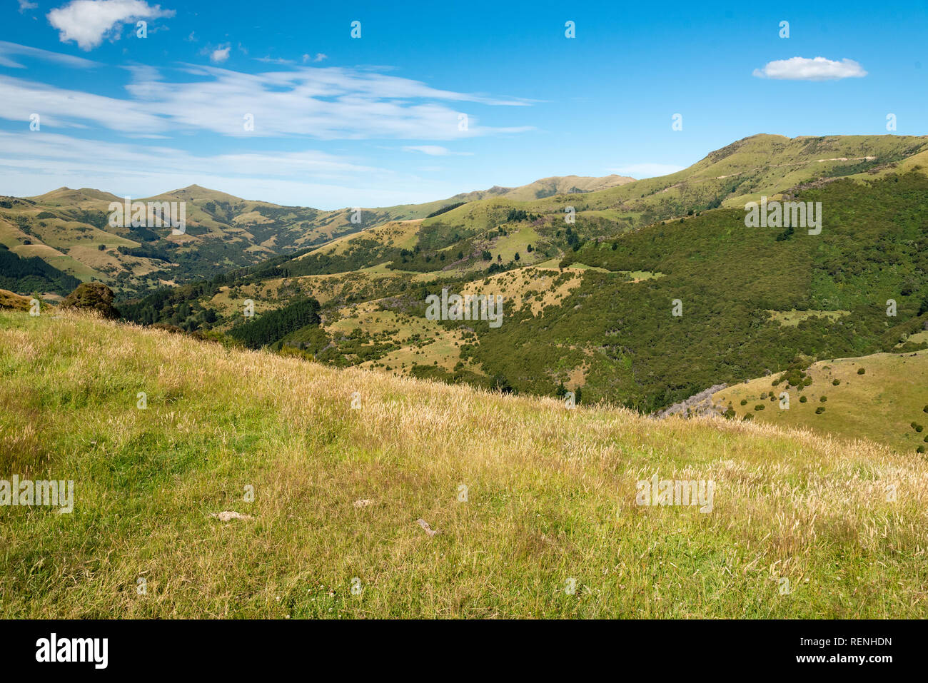 Nuova Zelanda paesaggio panoramico Foto Stock