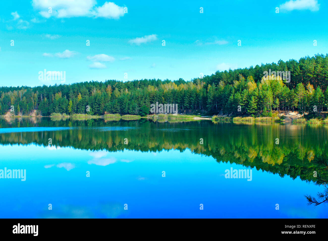Bella foresta lago con acqua color smeraldo nella foresta di pini. Meravigliosa vista naturale. Panorama dell'acqua. Natura selvaggia Foto Stock