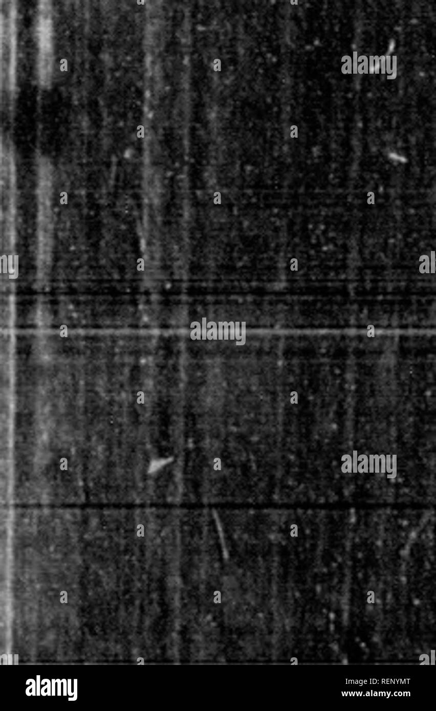 . Annali di commercio, produce la pesca e navigazione [microformati] : con brevi avvisi delle arti e delle scienze ad esse connesso, contenente le transazioni commerciali dell'Impero Britannico e altri paesi fin dai primi conti alla riunione dell'Unione al Parlamento nel gennaio 1801 ... con una grande appendice ... con una generale indice cronologico .... Commerce; Pesca; navigazione; Commercio; PÃªches; navigazione. A. D/jo^S. 3*a ad eccezione del iutk periicles del mar. fhtwe, ioi'Mlaiesl ojtijy :Â" ad alta ^i^fHV e ha ottenuto una luce veflel, wJaerein egli fet con il lidm in hi* h^n4. dr. Foto Stock