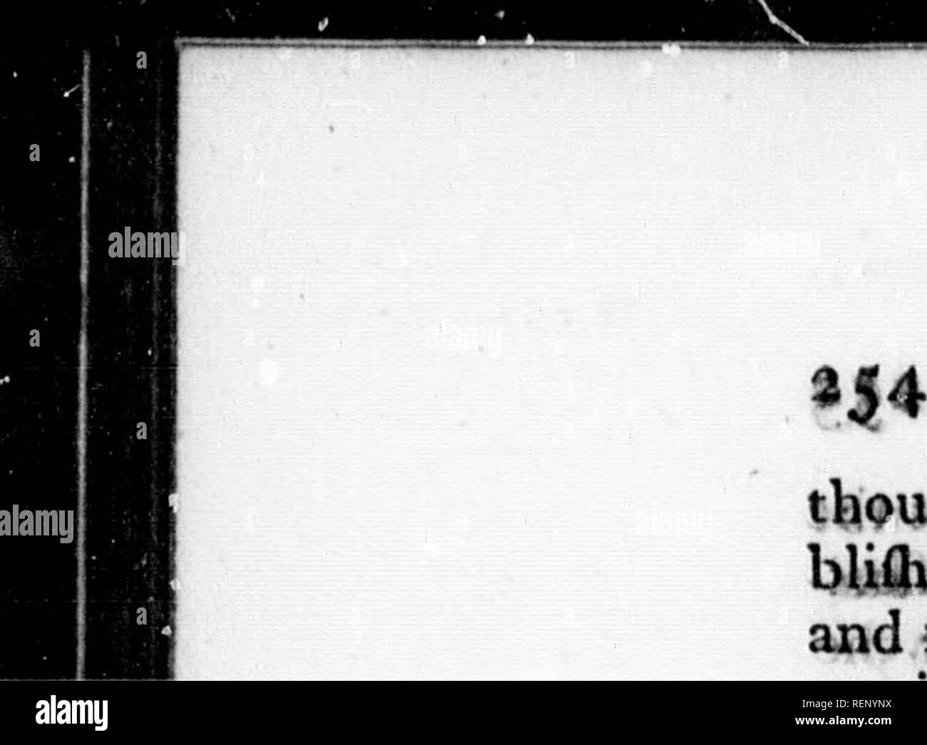 . Annali di commercio, produce la pesca e navigazione [microformati] : con brevi avvisi delle arti e delle scienze ad esse connesso, contenente le transazioni commerciali dell'Impero Britannico e altri paesi fin dai primi conti alla riunione dell'Unione al Parlamento nel gennaio 1801 ... con una grande appendice ... con una generale indice cronologico .... Commerce; Pesca; navigazione; Commercio; Pêches; navigazione. sebbene essi wftrc, scacciato: dell'reft del iflaad, erano ben fo e(ta- bUthed inJDtibiin, che essi fortificarono4t&GT; e tenuto fuori il againft Irifti; e "e Foto Stock