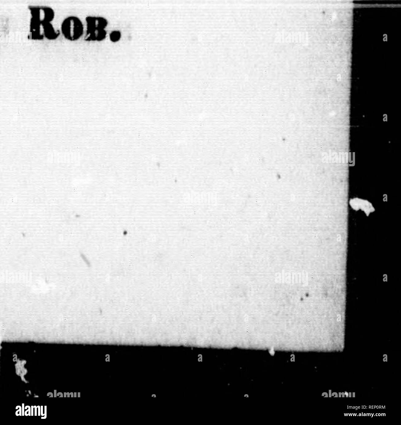 . Ernesti Meyer De plantis labradoricis [microformati] : libri tres. La botanica; piante; Botanique; Plantes. ieajigi|8 8uii|; I. ACOTTfaSDOHrES. !• L i c h e n e s. 1. Lecidea atroMa Ach, - EI"I. Liclien atroalbtu Lixn. Okak, in America boreali inter Saskatchawan fluvium et mare arcticum Richardson; in Europa boreali per omnem Lapponiam Wahlekberg. Am/Pm versus inceppamento in septentrioE^ali Germa&GT; Bia loca demissiora evitans, e. g. agrum Berolinen- sem, ascendit in montes, Herciniam, Meissnerum Hassiae aliosque. lu summis alpibus Pedemontii Bellardi. Un etiam in coUiuus Veronensibus et prope ipsamVero Foto Stock