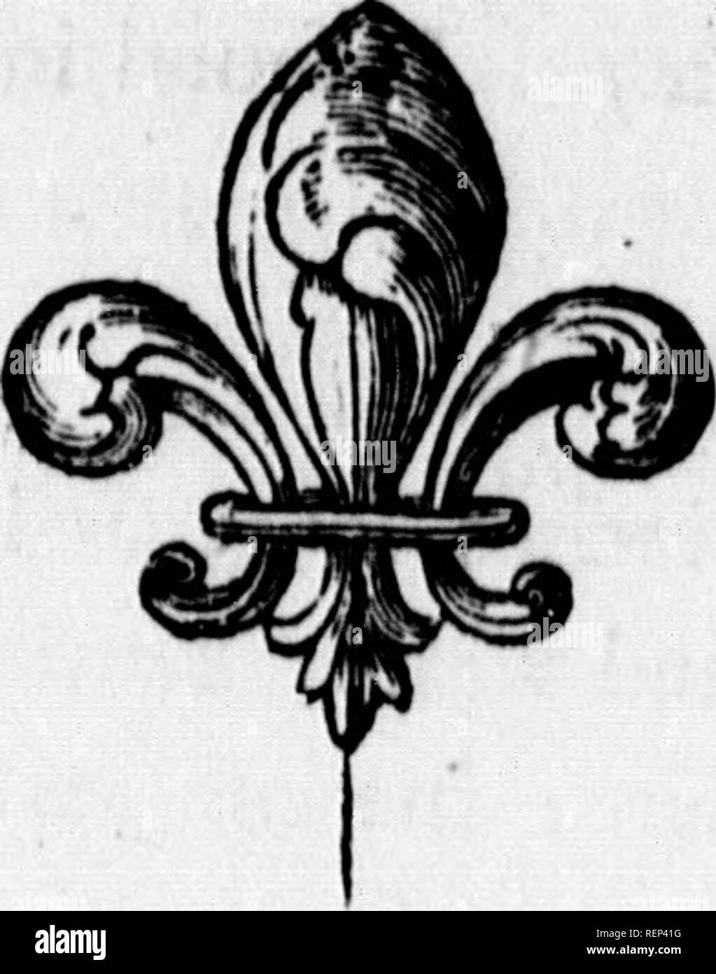 . Arctic zoologia [microformati]. Zoologia; Zoologie. 174 ykiii se 381. Nero. Luogo. Placì. SNIPE nero, europeo e beccacce. testa e la parte superiore del collo, dufky, più scura con linee prona: converte di ali, indietro e fcapulars, brownifh afli, fparingly fpotted con bianco sporco : mento, underfide del collo e pane, fpotted con in bianco e nero: il ventre bianco : due piume superiore di coda marrone j il reft con la converte, finemente crofTed con fianchi ondulati dufky bar: gambe^reen' arrivano in giugno, in fmall greggi e razza sulle pianure: ritiro in inverno: luce spesso sugli alberi. Fare un fhriU noife in volo. Ob Foto Stock