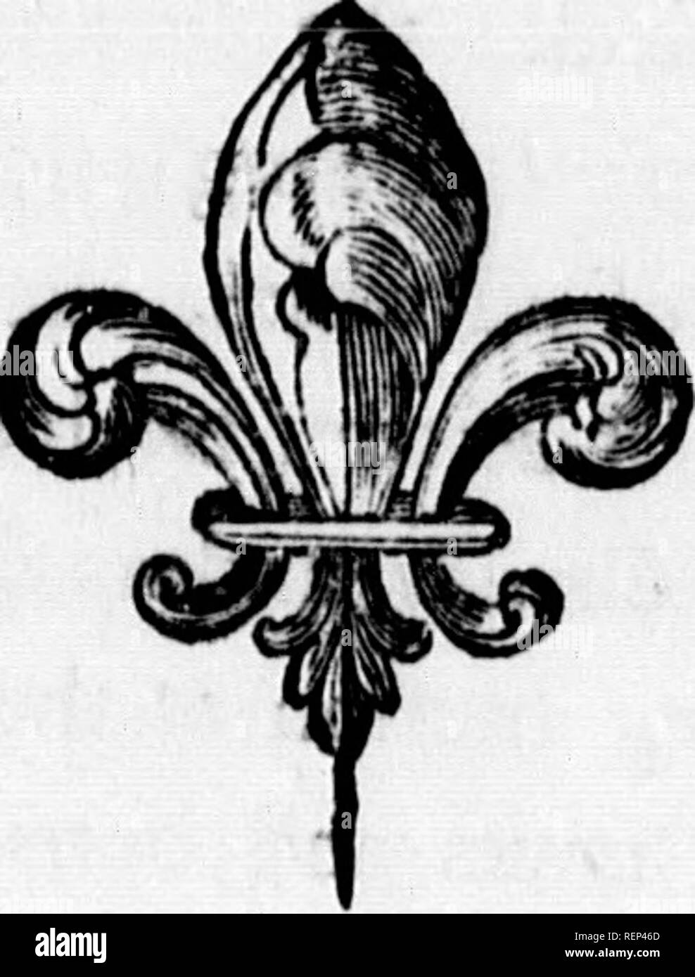 . Arctic zoologia [microformati]. Zoologia; Zoologie. ho$i R O K. I. posto.. " Rook, Br. Zool. i. N" 'jb.'-Latham, i. 372. Corvus Frugilcgus, Roka, Fauno. Suec. N" Sy.-De BuJvk, iii. 55. r^ Nero, glofled con viola: una sfumatura di verde opaco su parte della coda: le estremità delle penne della coda ampia e tondeggiante; thofe del Corvo, acuta: bill ftraiter, flenderer, e più debole rispetto a quella del Carrion Crow: la lunghezza di circa due pollici e un halfi che di quest'ultimo solo due pollici e un quarto. Il disegno di legge del corvo è più intenfe nero. Il noftrils e bafe della polizza di th Foto Stock