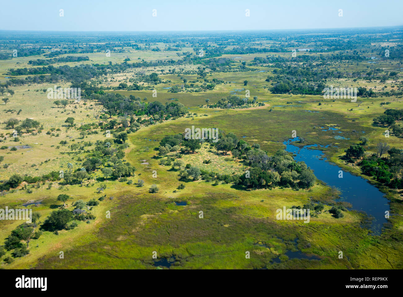 Okavango Delta, Botswana Foto Stock