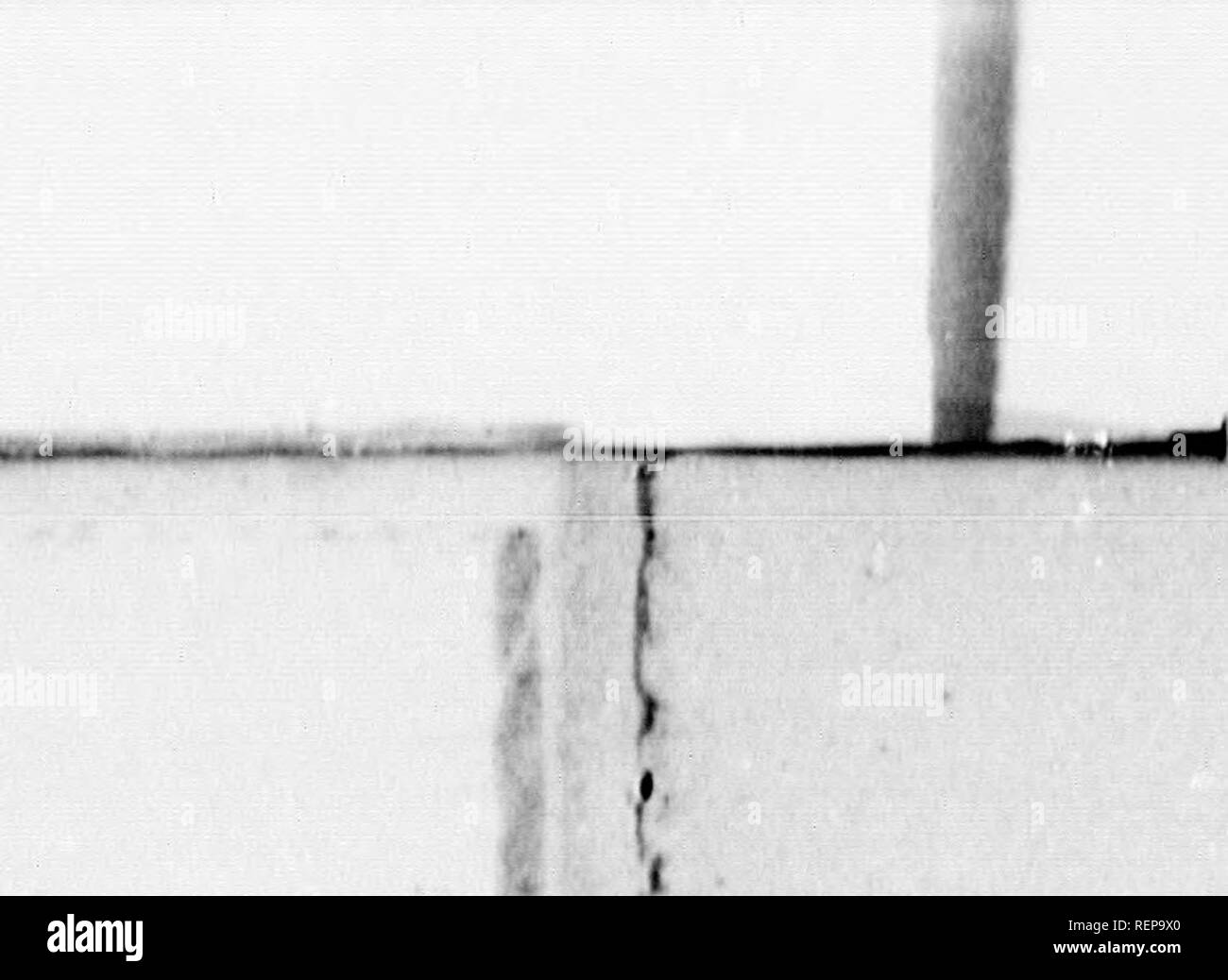 . Gli uccelli del New England e adiacente membri [microformati] : contenente le descrizioni degli uccelli del New England e gli stati confinanti e province, disposti da una lunga ha approvato la Classificazione e nomenclatura; insieme con una storia delle loro abitudini .... Ornitologia; uccelli; Ornithologie; Oiseaux. Il RED-tailed Hawk. 86 Â¥ 1 X- M ,i^ , ^ â â â " c " â¢V^. '33 &gt; &LT;i ^i&amp;^ v^^ â % ^^p^ 1 Km in 0 â J 1 1 5 tf BUTEO BOBE'US Vieillot. XThe Bed-tailed Hawk.- Falco horeali$, Ifverianut e Jamaiceiuia, gra. Syst Nat, I. 288 (1788). Fako aquiliniu, Bartram. Trav., p. 290 (17Â"1). Â€utto fer Foto Stock