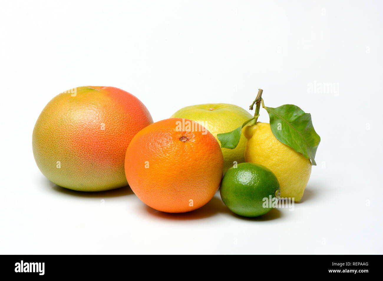 Verschiedene Zitrusfruechte, Pomelo, rote Pompelmo, Sweetie (Kreuzung zwischen Pampelmuse und Pompelmo, auch Oroblanco), limette, limone Foto Stock