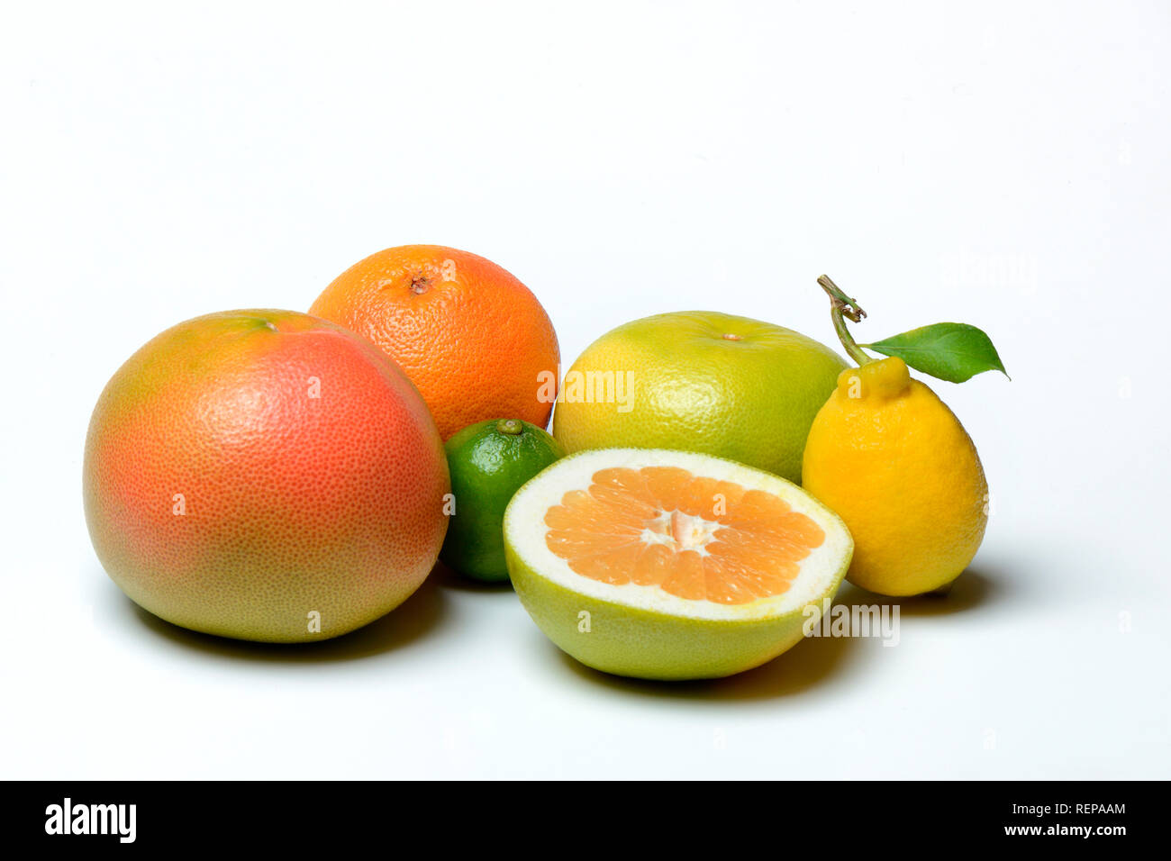 Verschiedene Zitrusfr?chte, Pomelo, rote Pompelmo, Sweetie (Kreuzung zwischen Pampelmuse und Pompelmo, auch Oroblanco), limette, limone Foto Stock