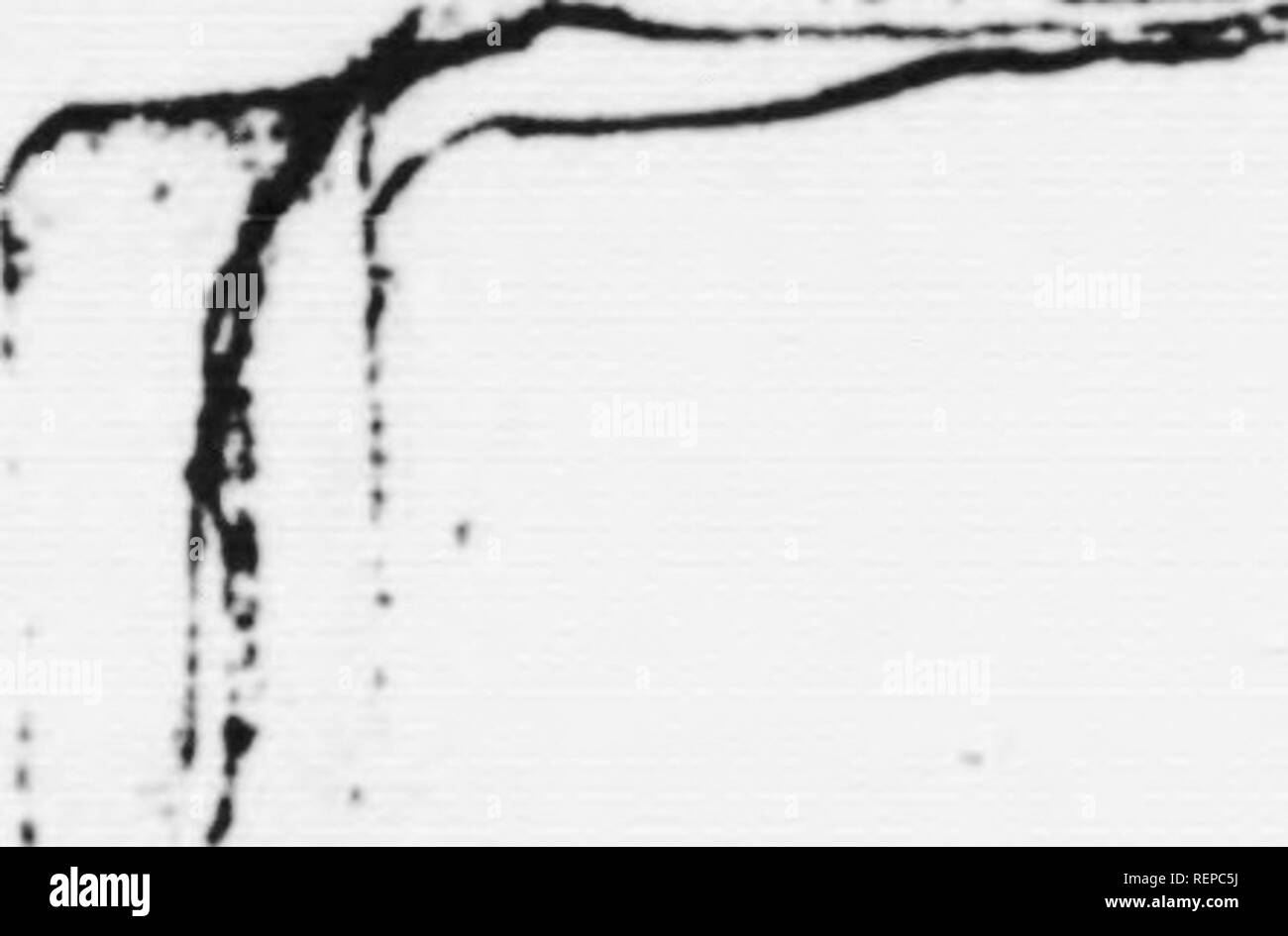 . Una vista del luogo, il progresso e lo stato attuale della pesca di Terranova [microformati] : con alcune osservazioni sul suo governo, istituzione civile, le entrate e le spese. Pesca; PÃªches. .-^â ^ ^J 20 i / r deve necessariamente requirea largesuii), e il raccordo u} fprnishing e dei quali in un cono^^pondent stile deve occasione ulteriori richieste;âthat tale ])uil(ling è il requisito non può essere negato qualora un governatore essere requircil a mantenere o vice-regal membro e ad assumere l'uomo- ners di una corte, e lo splendore delle autorità sovrana; ma sotto il vecchio governo navale, un confortevole, Foto Stock