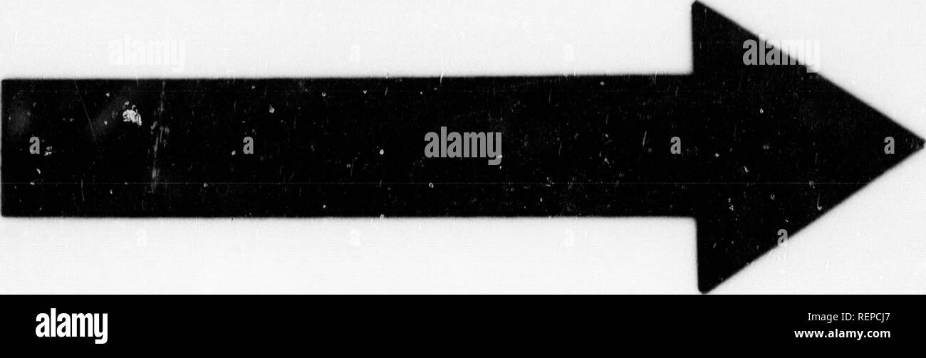 . Annali di commercio, produce la pesca e navigazione [microformati] : con brevi avvisi delle arti e delle scienze ad esse connesso, contenente le transazioni commerciali dell'Impero Britannico e altri paesi fin dai primi conti alla riunione dell'Unione al Parlamento nel gennaio 1801 ... con una grande appendice ... con una generale indice cronologico .... Commerce; Pesca; navigazione; Commercio; Pêches; navigazione. . Si prega di notare che queste immagini vengono estratte dalla pagina sottoposta a scansione di immagini che possono essere state migliorate digitalmente per la leggibilità - Colorazione e aspetto di questi il Foto Stock