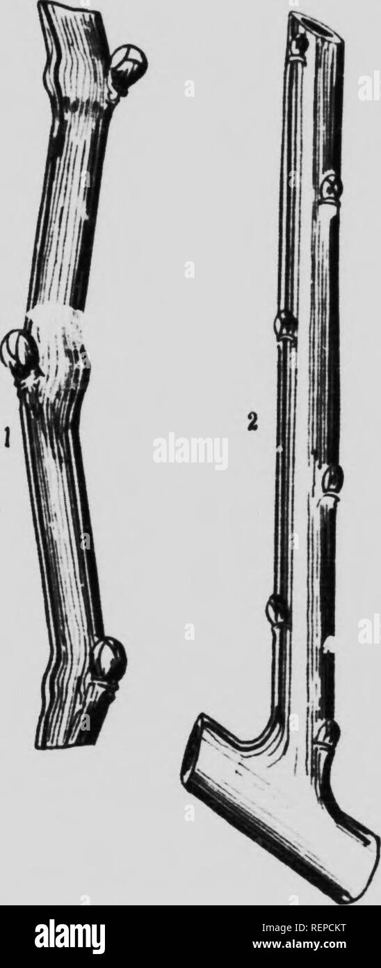 . La cultura fruitiÃ¨re dans la provincia de QuÃ©bec [microforme] : traitÃ© complet de la propagazione des arbres et arbustes fruitiers cultivÃ©s dans la provincia de QuÃ©bec, de la crÃ©ation d'onu verger de pommes et de son entretien, pour le commerce comme pour la famille .... Vergers; frutta-cultura; Apple; Arboricoltura fruitiÃ¨re; Pommier; frutteti. T ^^I^^jit^^ %-^}m^: i^^-y-,"'-: et du cambio. Ici Rappelons que si l'a esaminare la sezione trans- versale d'une bouture ou d'onu scion, su distingue en allant du centre Ã la pí©riphÃ©rie, la moelle, le bois, la couche zona ou gÃ©nÃ©ratrice un Foto Stock