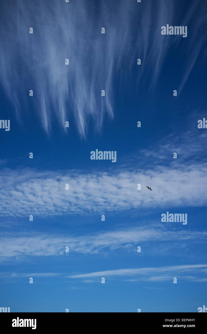 Interessanti formazioni nuvolose in un cielo blu sulla costa sud del Devon in primavera. Beesands, Regno Unito Foto Stock