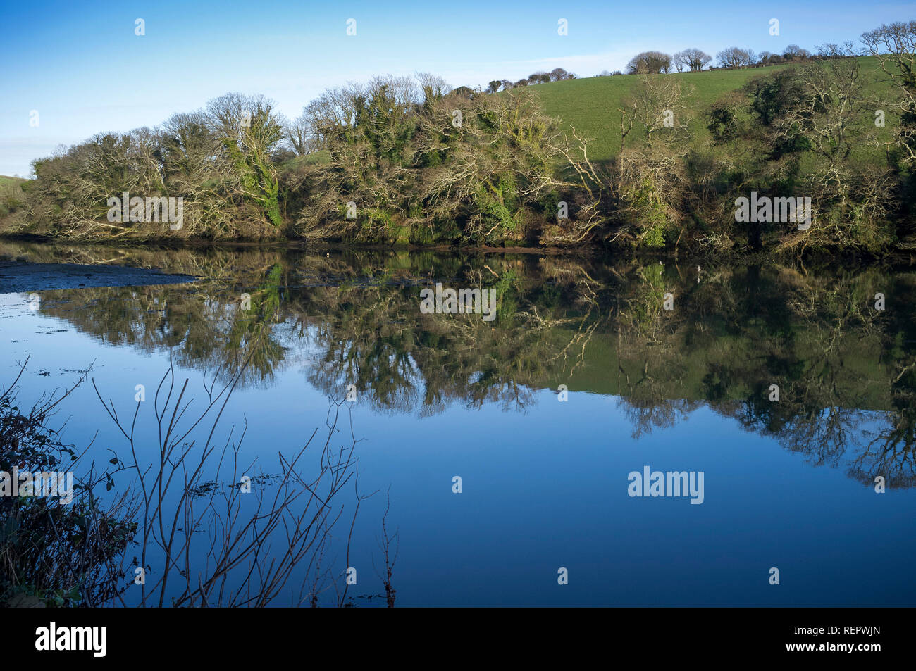 Gli alberi Waterside si riflettono sulle acque ancora maree di Bowcombe Creek, Kingsbridge, Devon, Regno Unito Foto Stock